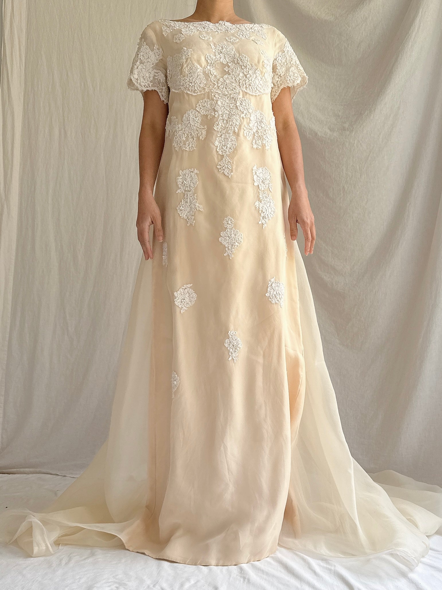 1960s Silk Organza Gown - S/M