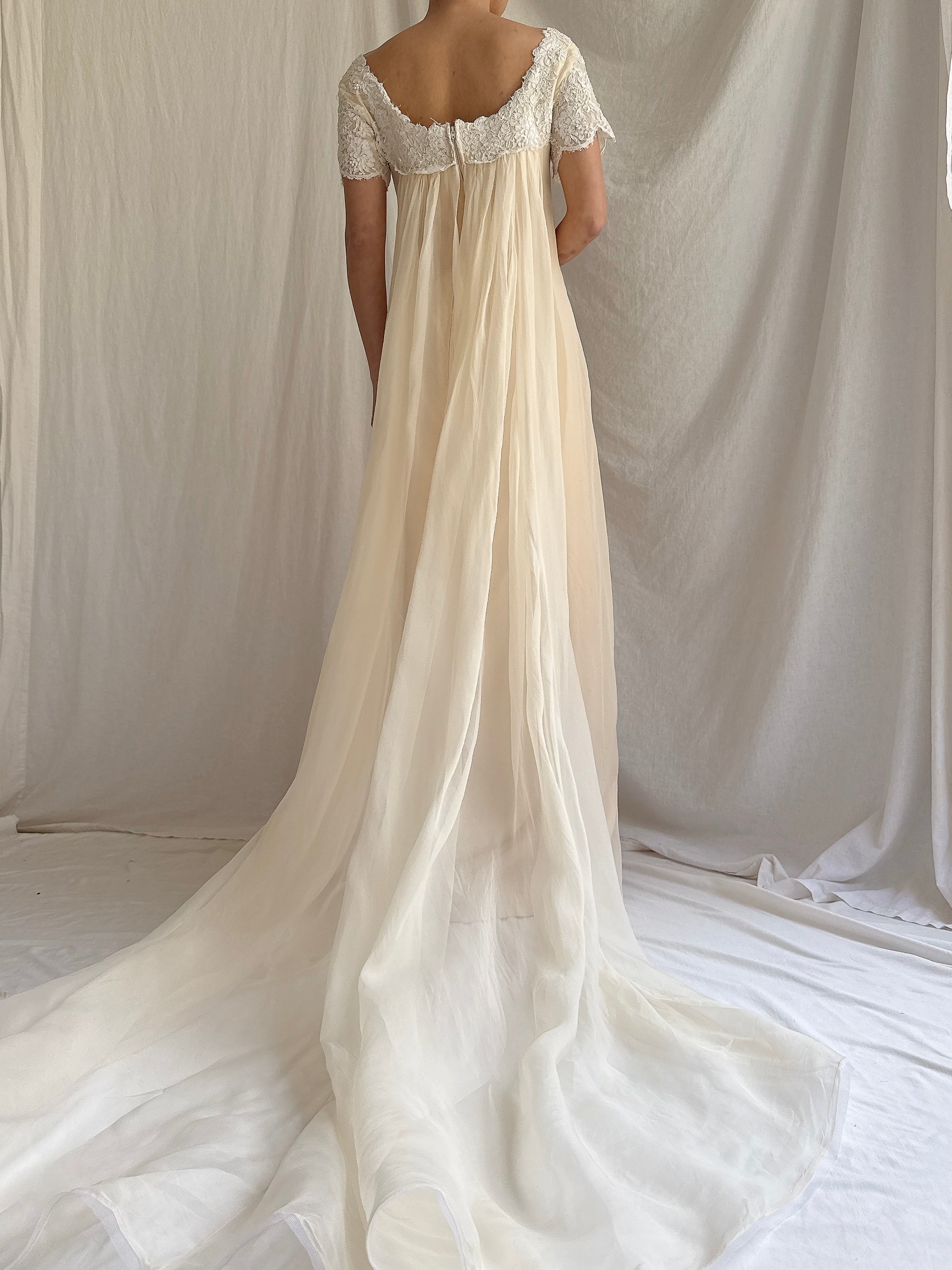 1960s Silk Organza Gown - S/M