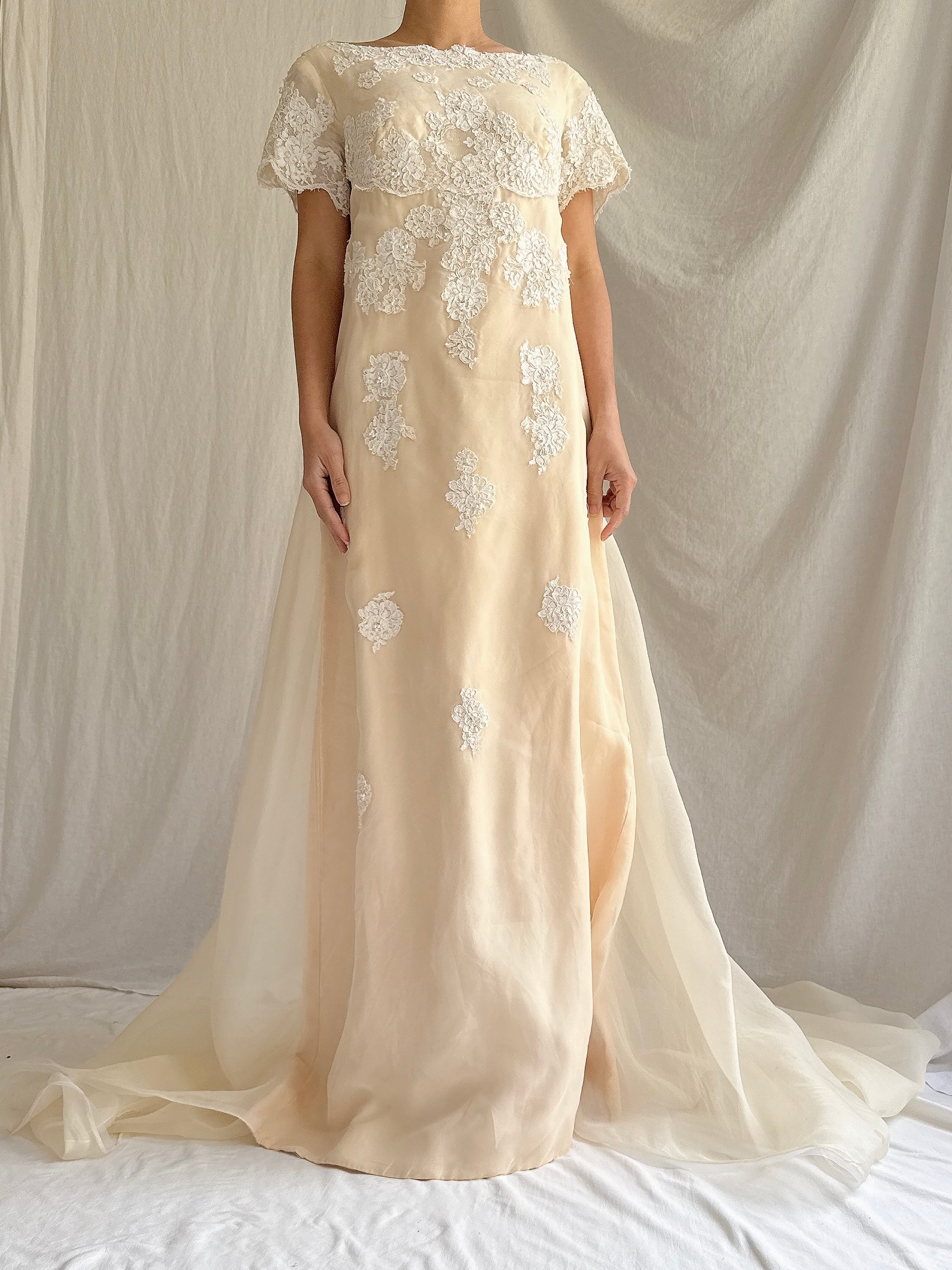 1960s Silk Organza Gown - S/M