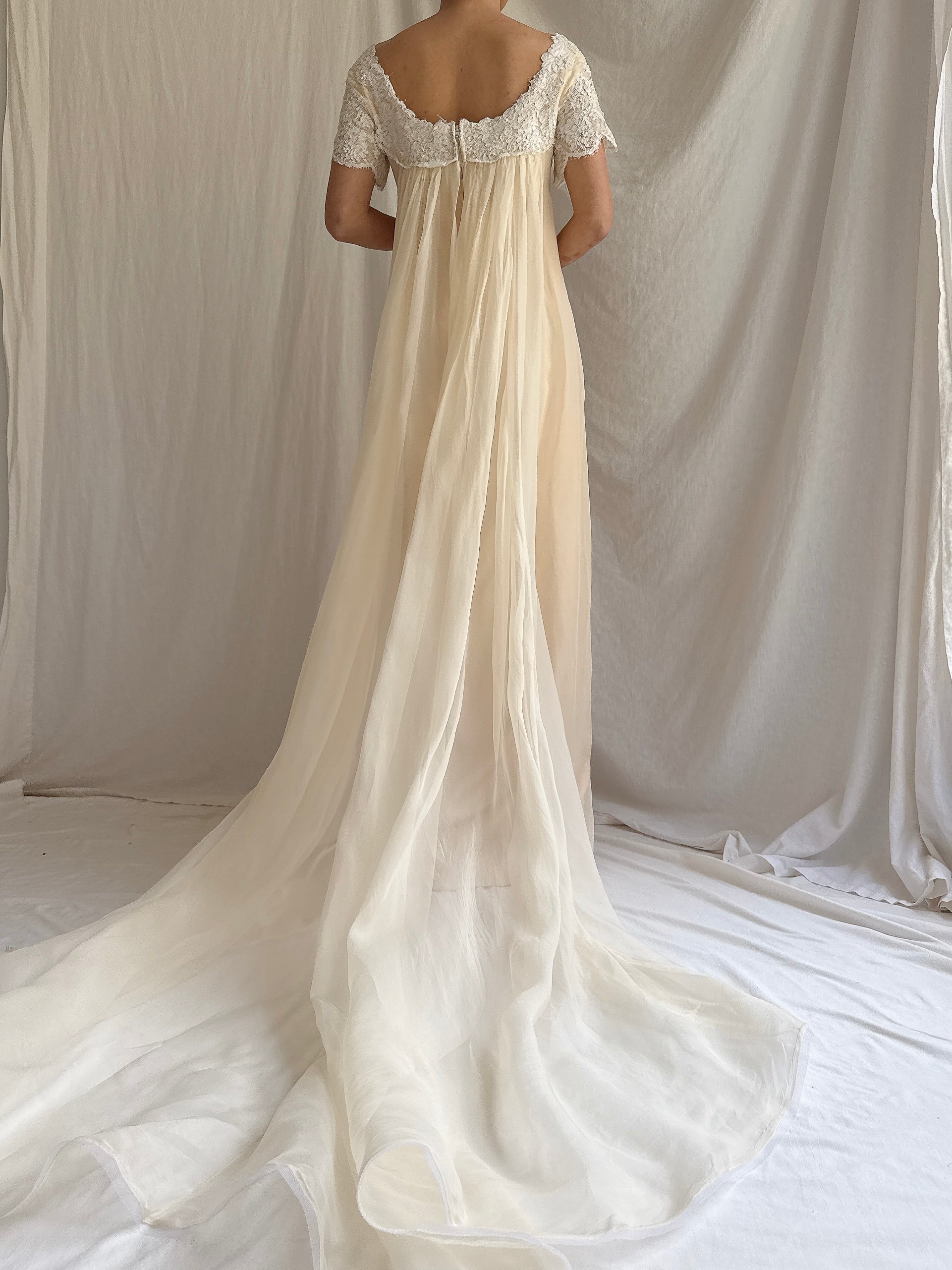 1960s Silk Organza Gown - S/M
