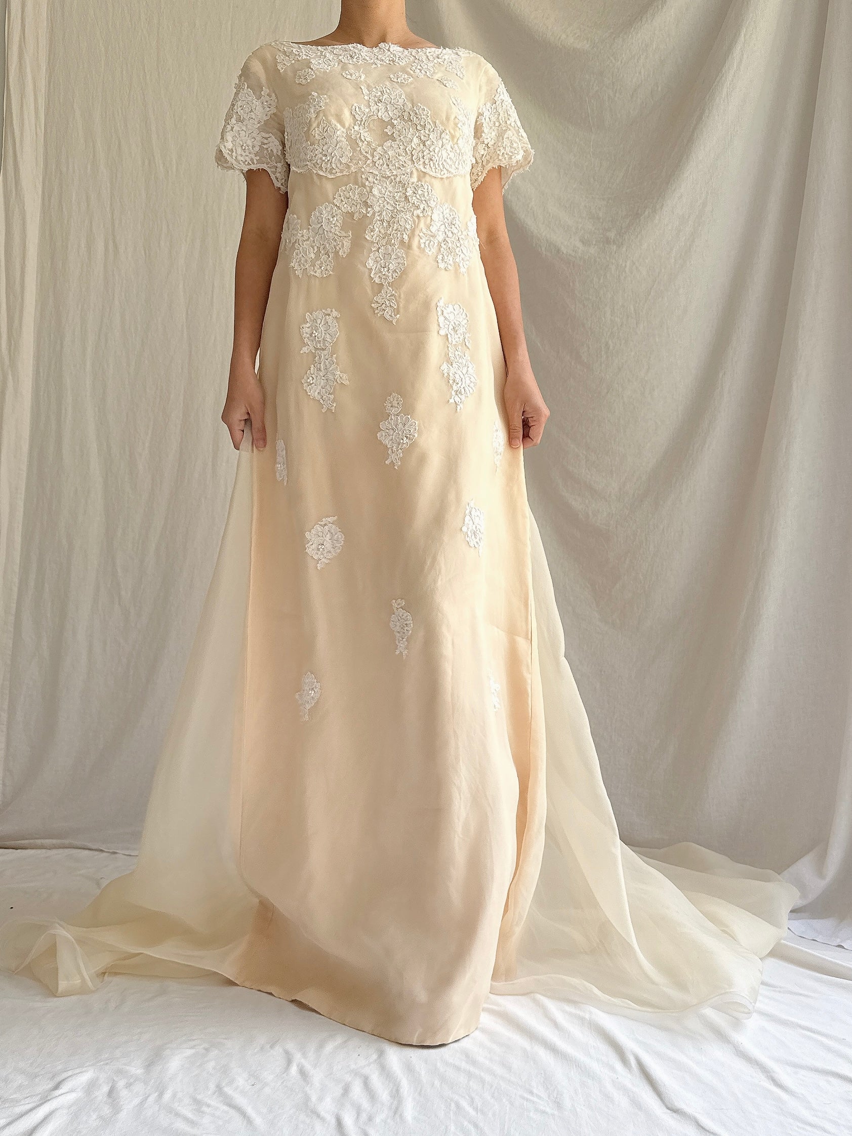1960s Silk Organza Gown - S/M