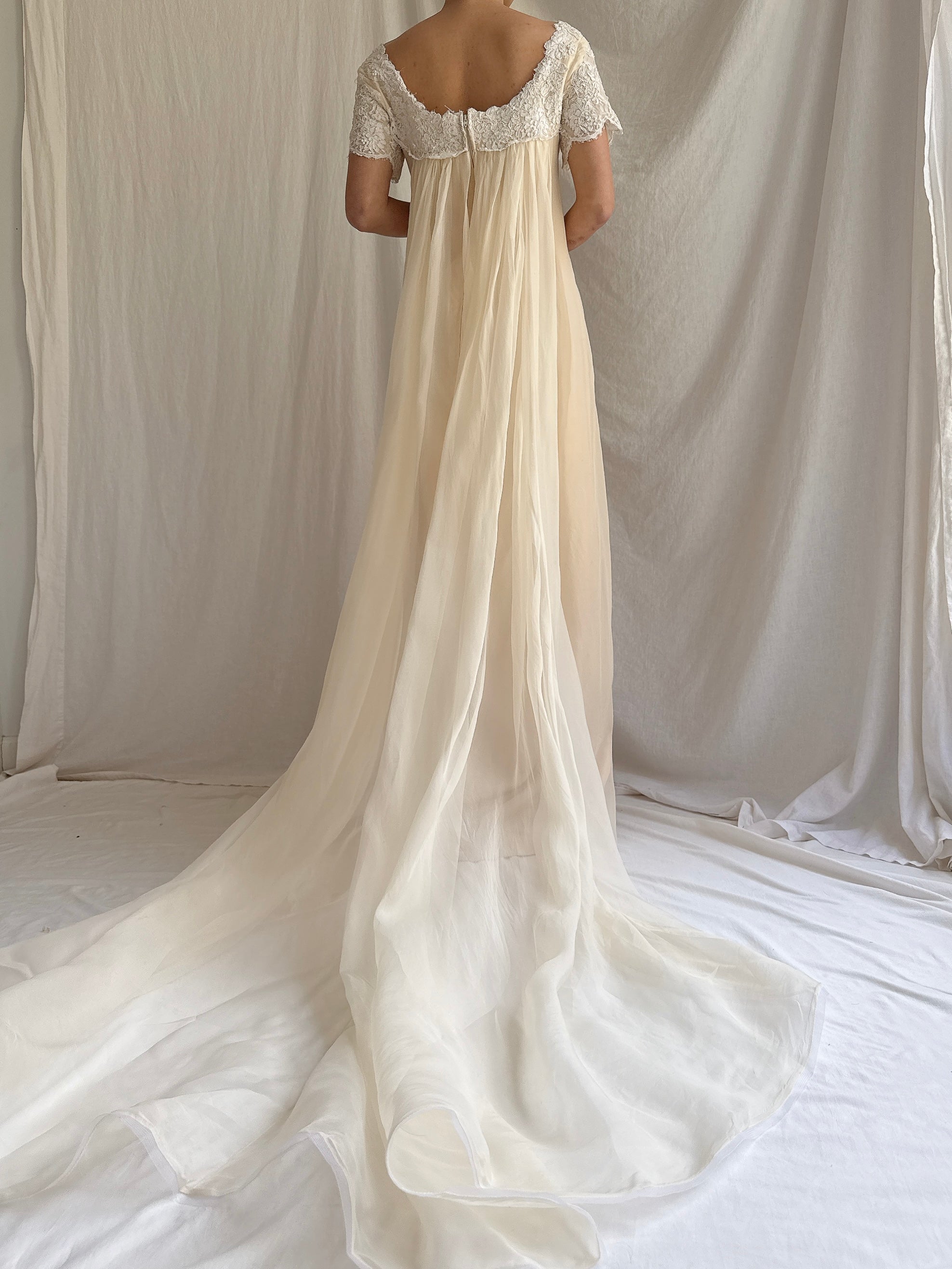 1960s Silk Organza Gown - S/M