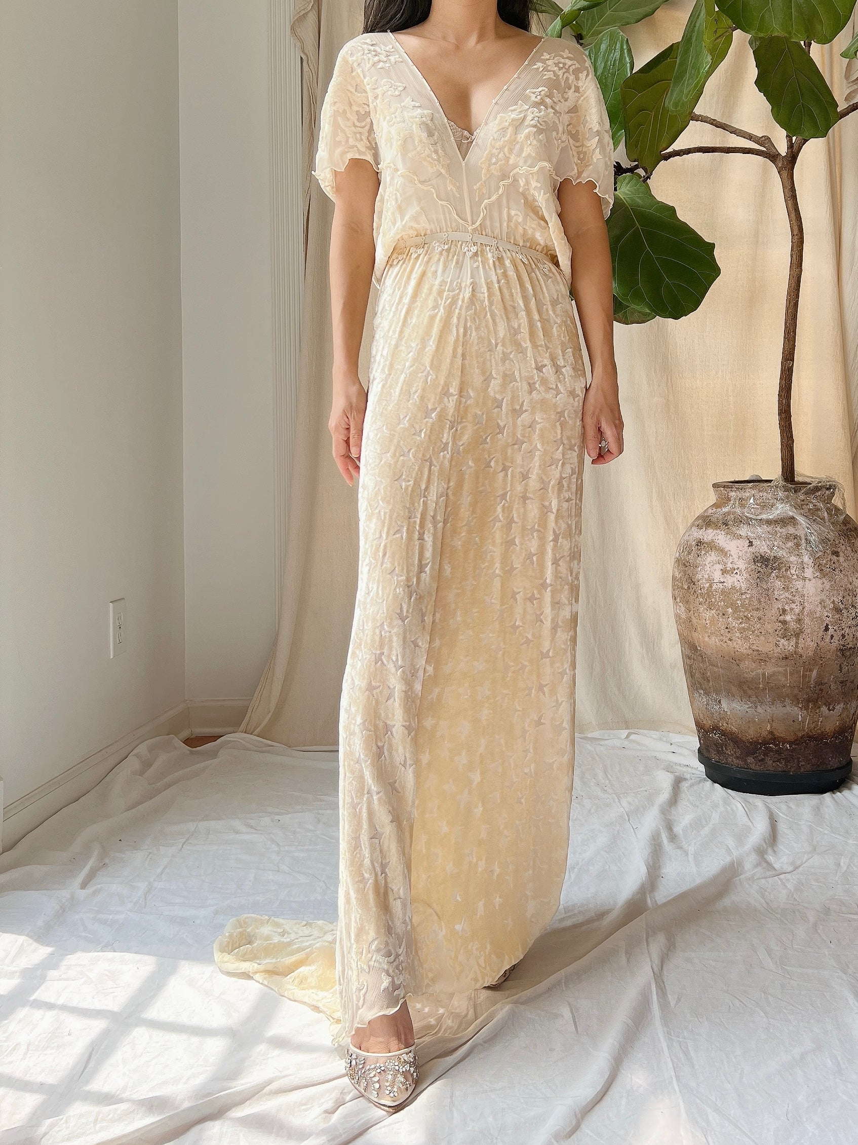 Vintage Silk Velvet Devore Gown - M/L