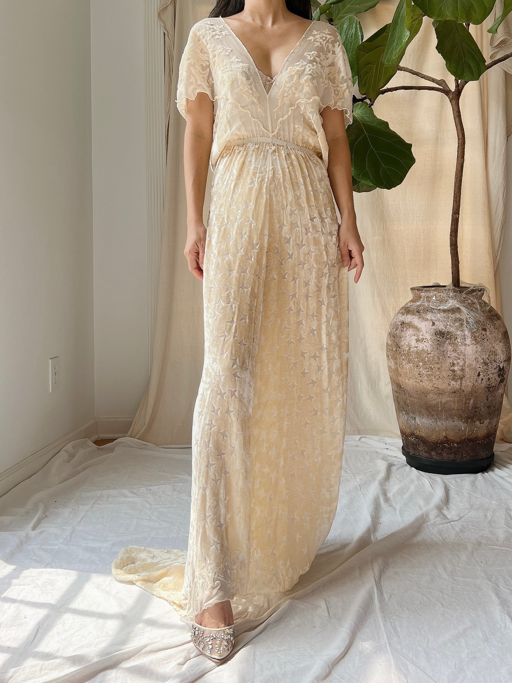 Vintage Silk Velvet Devore Gown - M/L