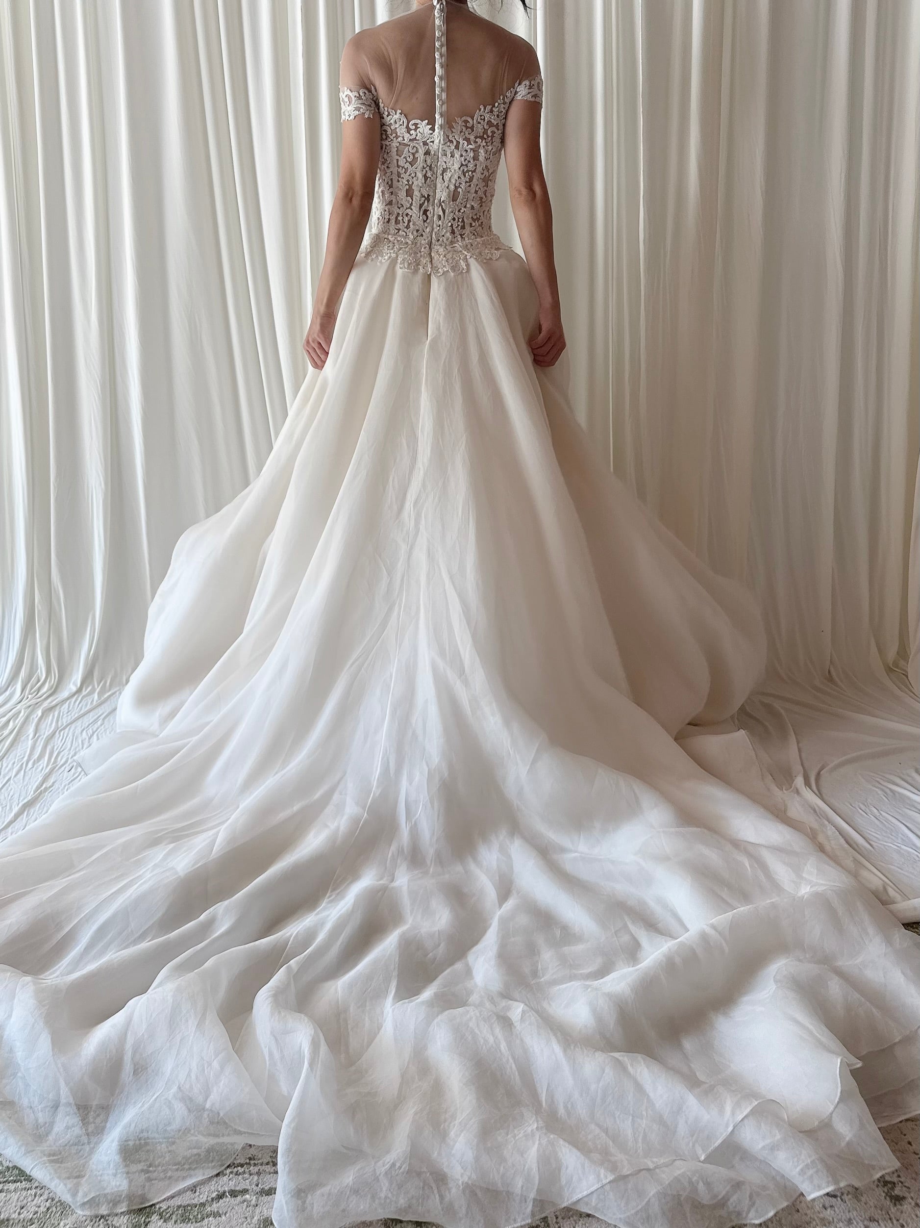 00 Reem Acra Silk Organza Illusion Lace Gown - M/6