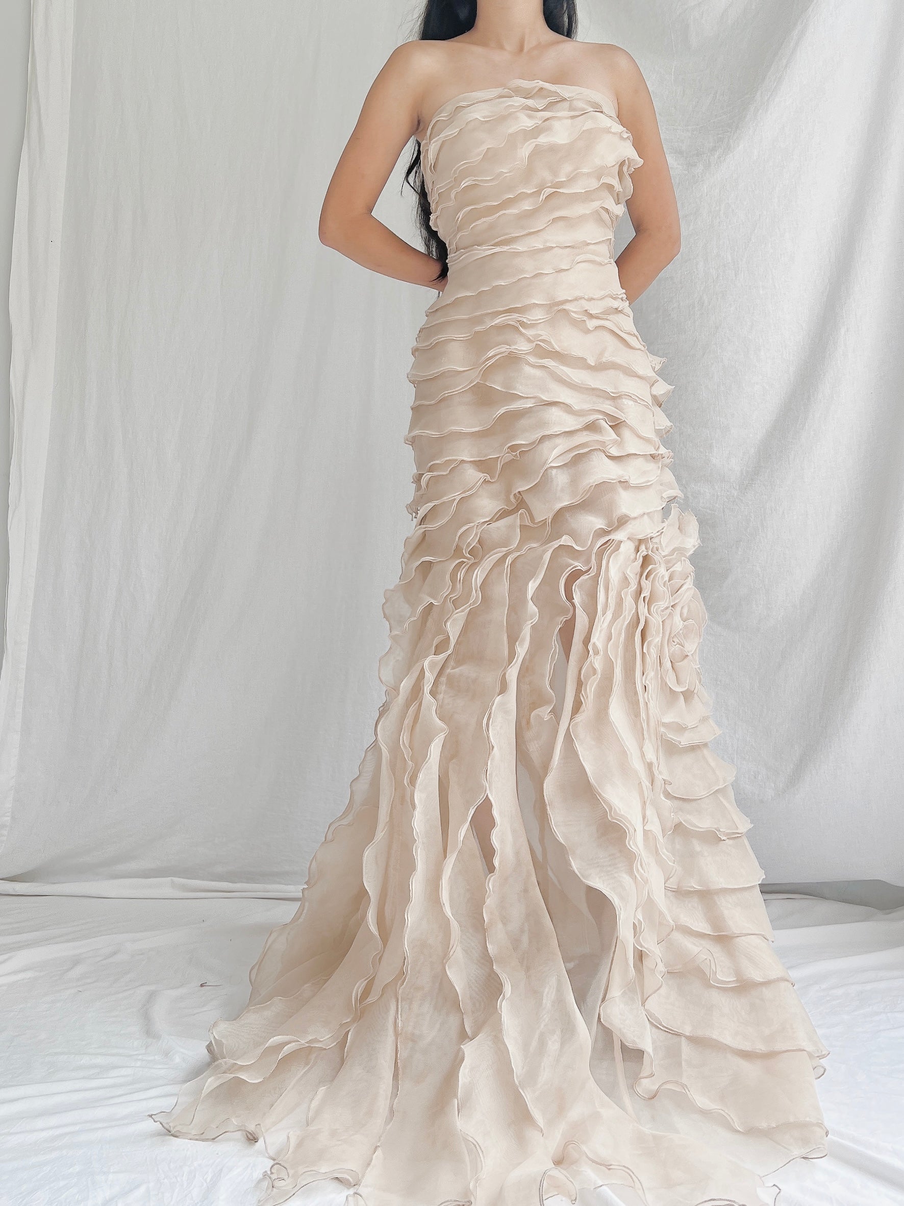 Vintage Sheer Beige Organza Gown - M