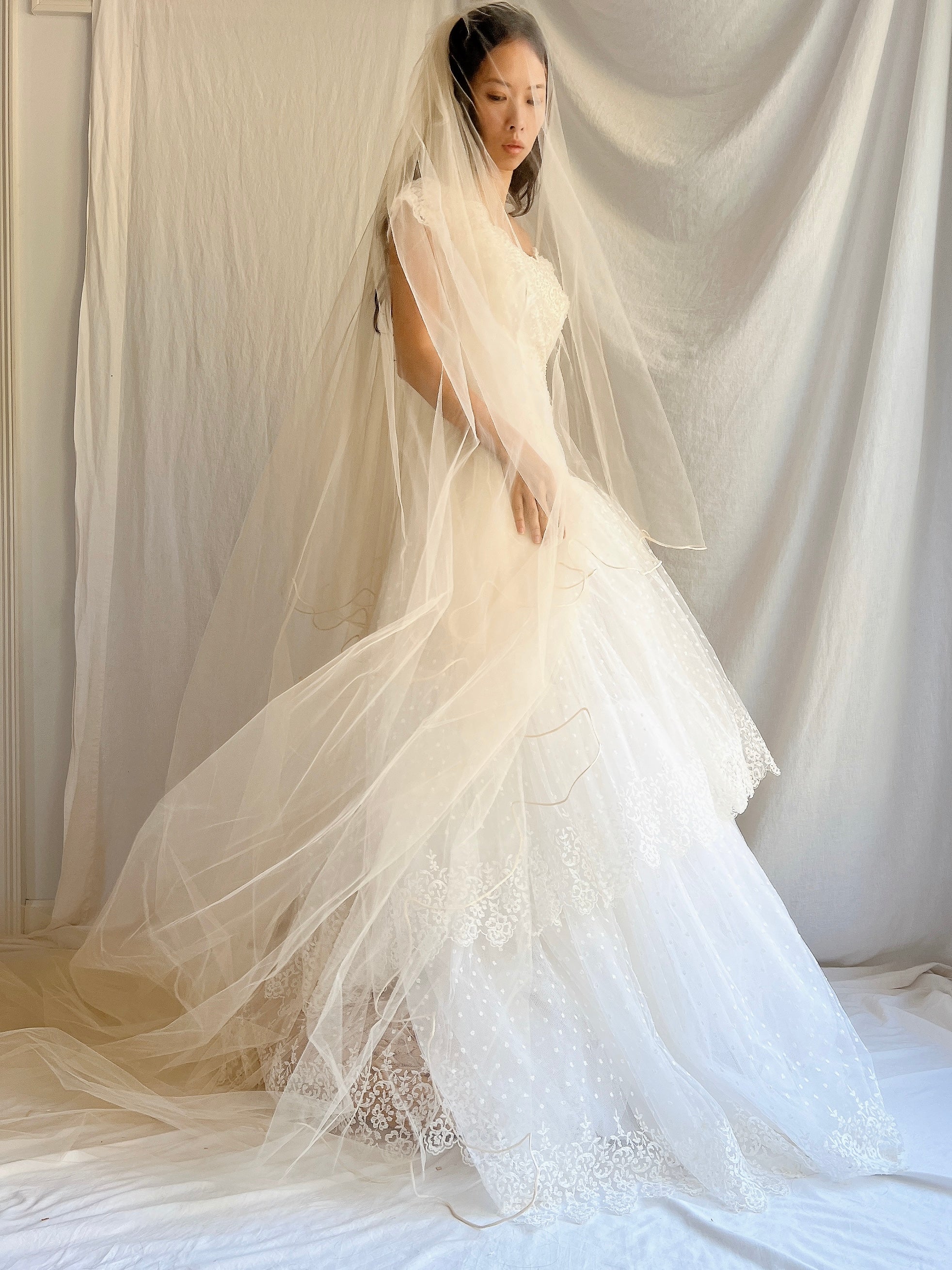 veil for champagne wedding dress David's Bridal Champagne Wedding Dress and Veil | Size 0