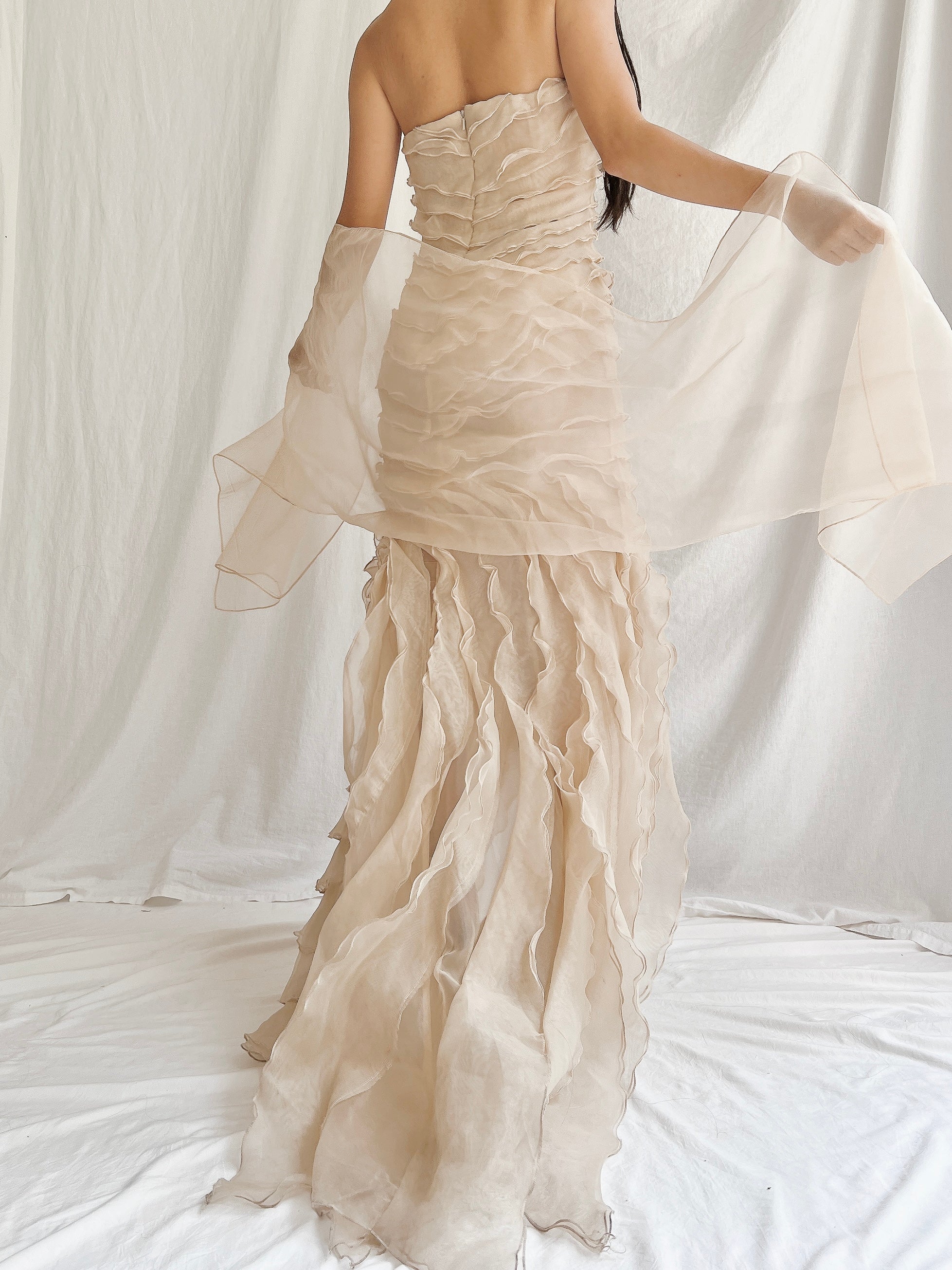 Vintage Sheer Beige Organza Gown - M