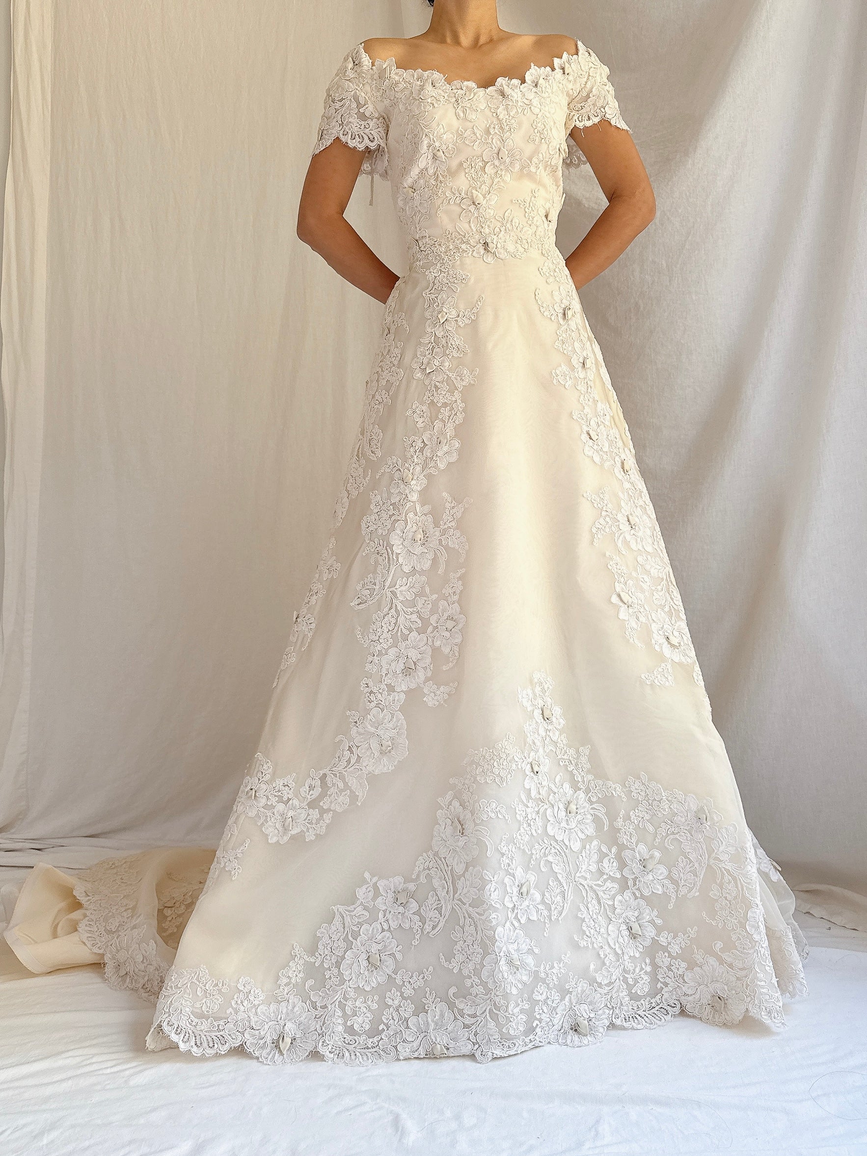 1950s Silk Organza and Lace Gown - XS