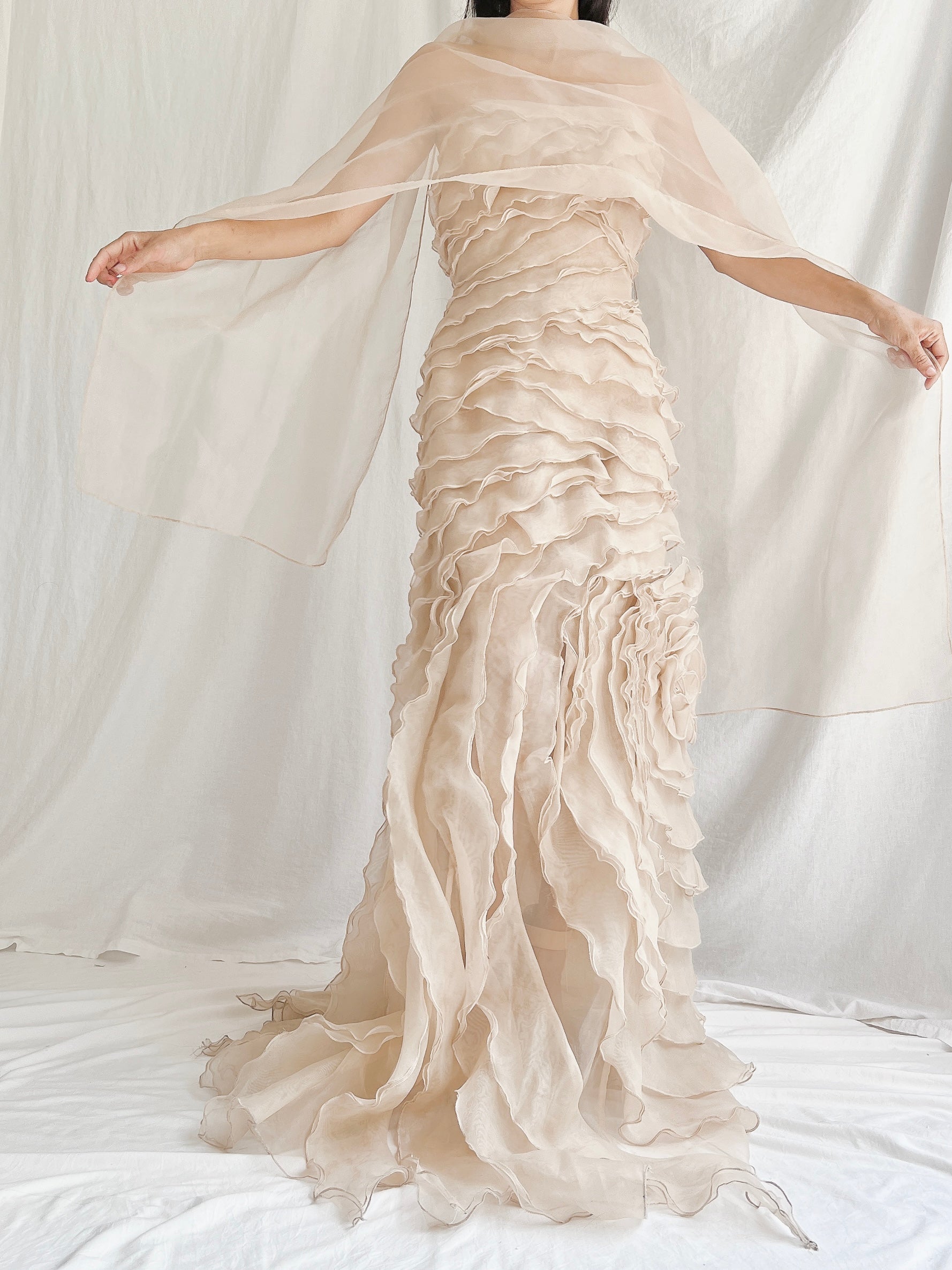 Vintage Sheer Beige Organza Gown - M