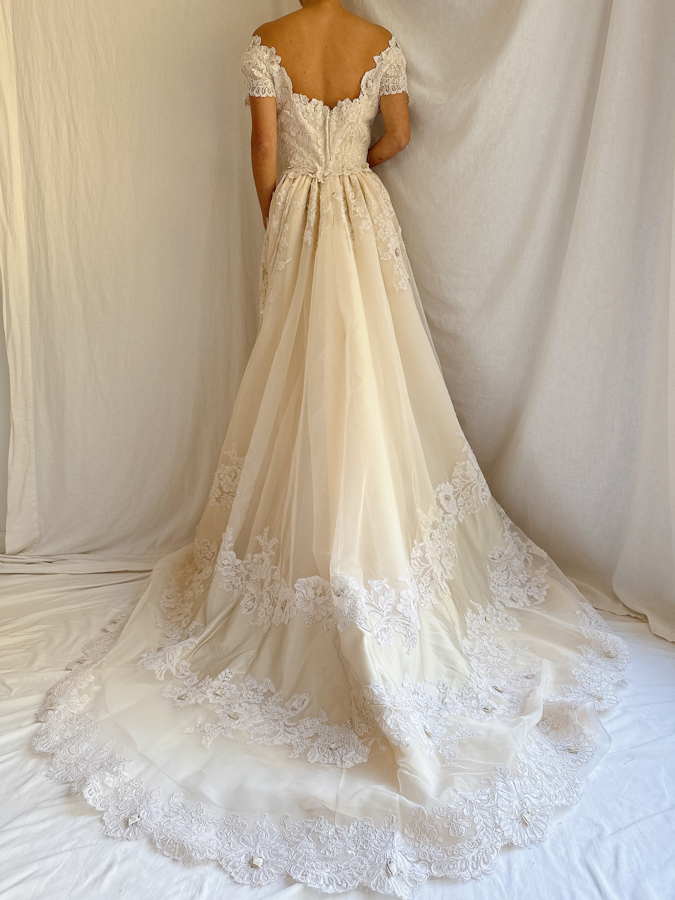 1950s Silk Organza and Lace Gown - XS