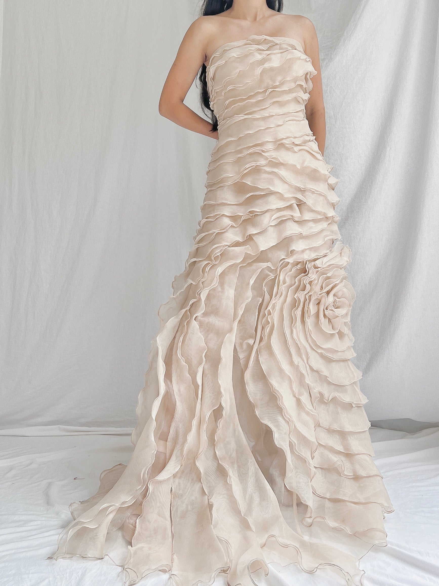 Vintage Sheer Beige Organza Gown - M