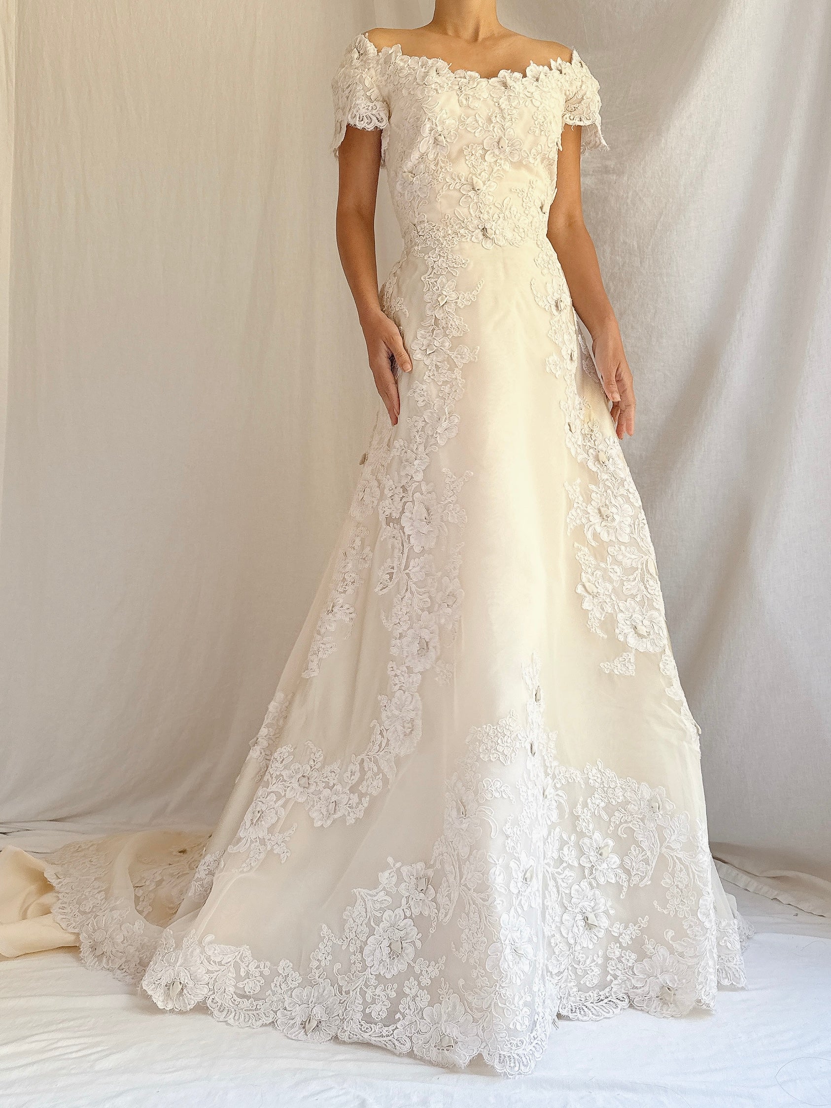 1950s Silk Organza and Lace Gown - XS