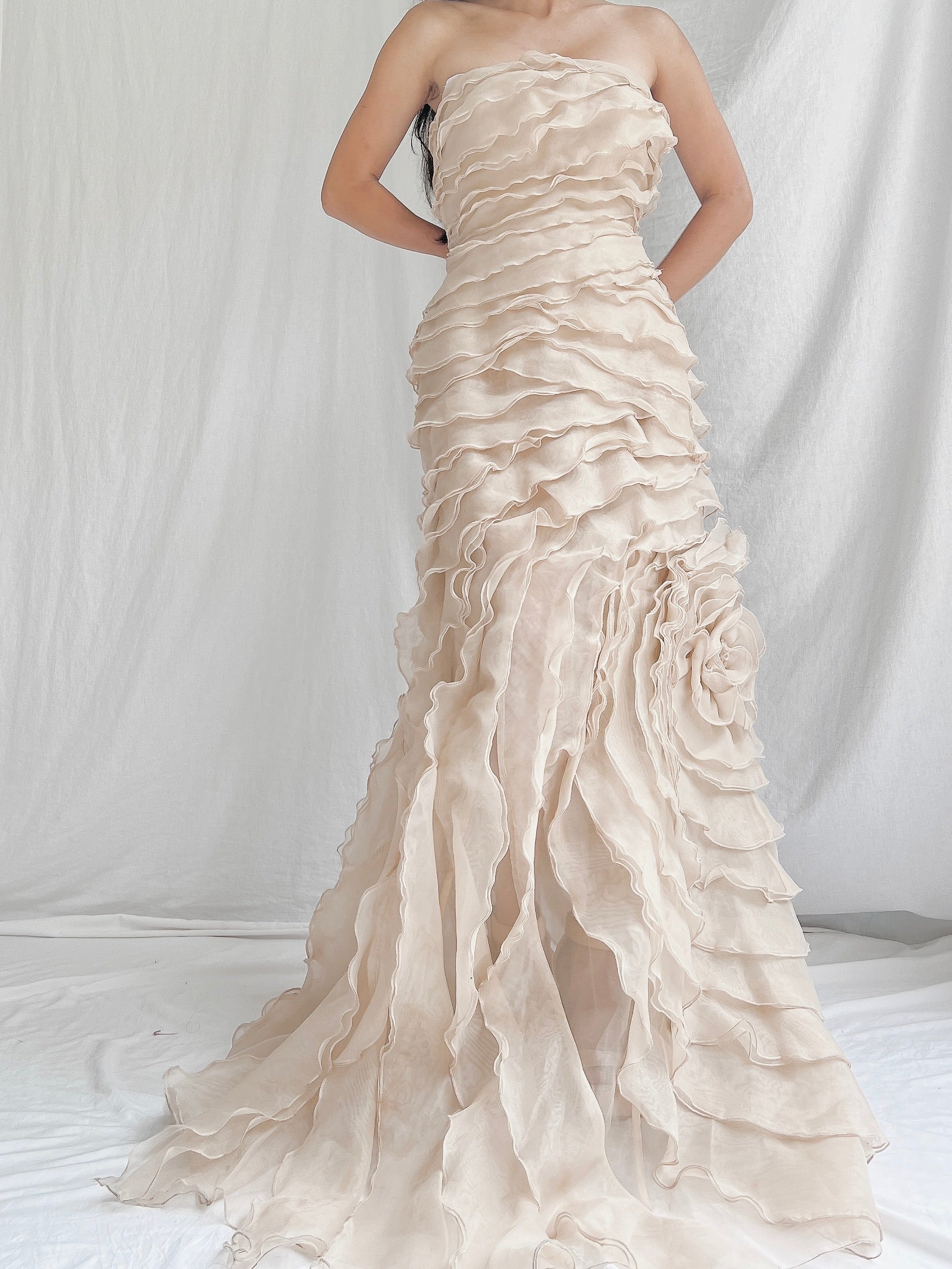 Vintage Sheer Beige Organza Gown - M