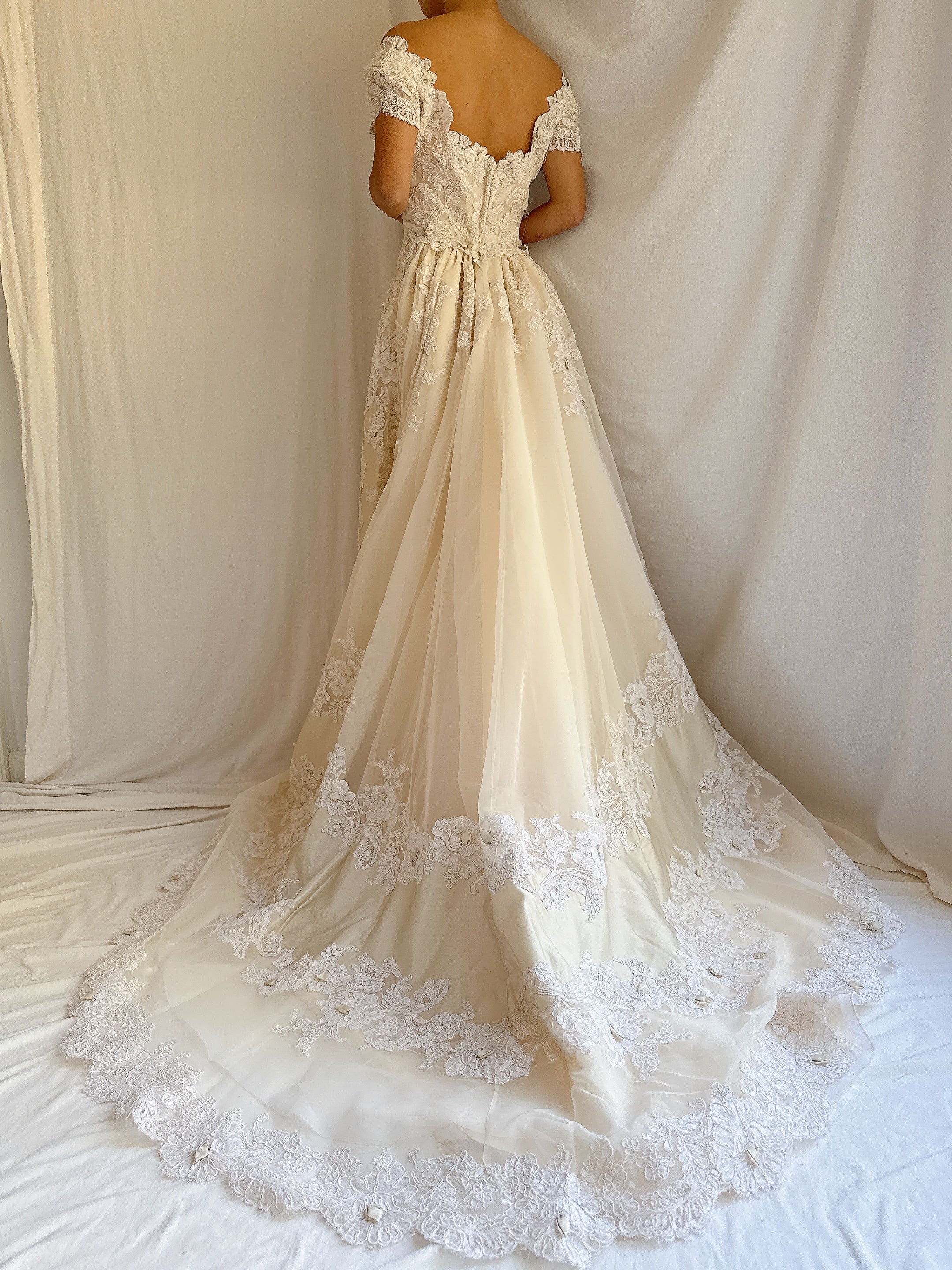 1950s Silk Organza and Lace Gown - XS