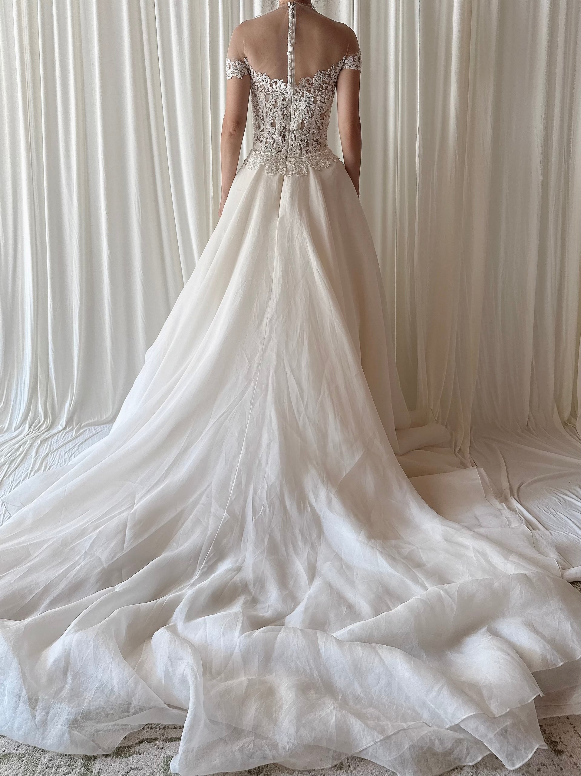 00 Reem Acra Silk Organza Illusion Lace Gown - M/6