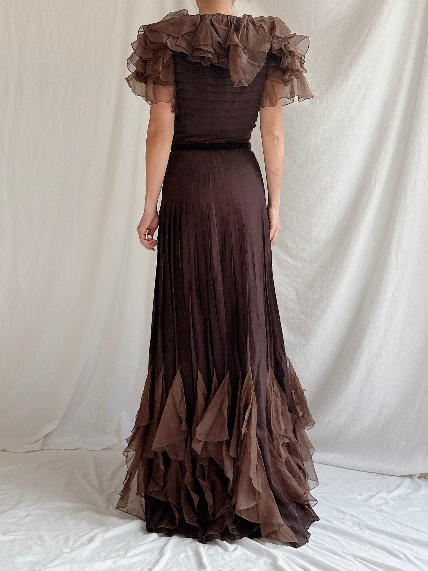 1960s Silk Chiffon and Organza Gown - S