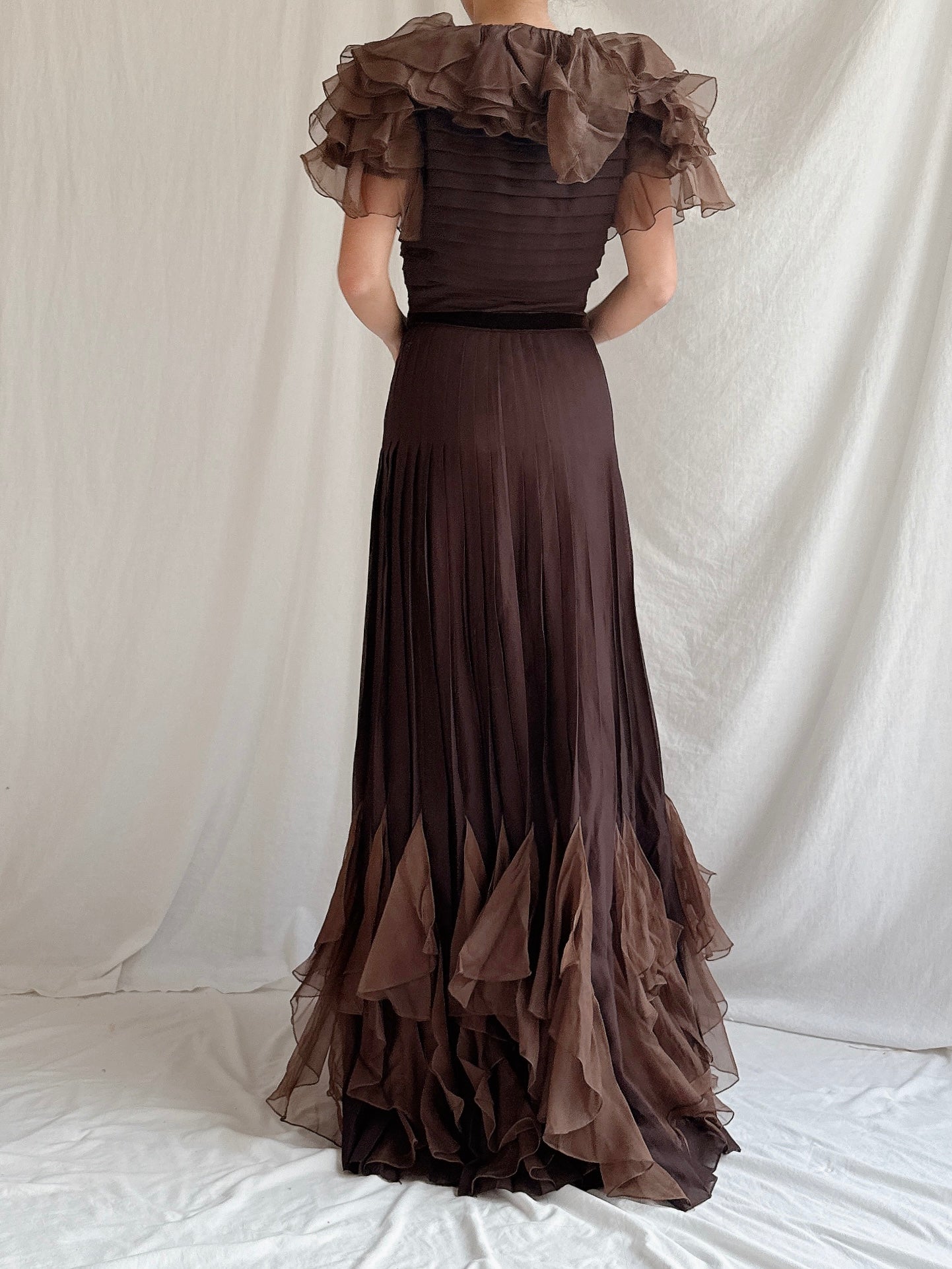 1960s Silk Chiffon and Organza Gown - S