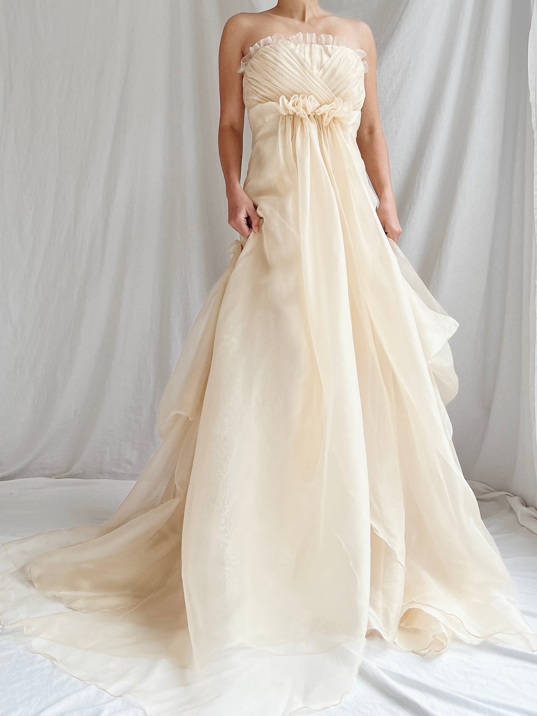 Vintage Silk Organza Gown - XXS/0