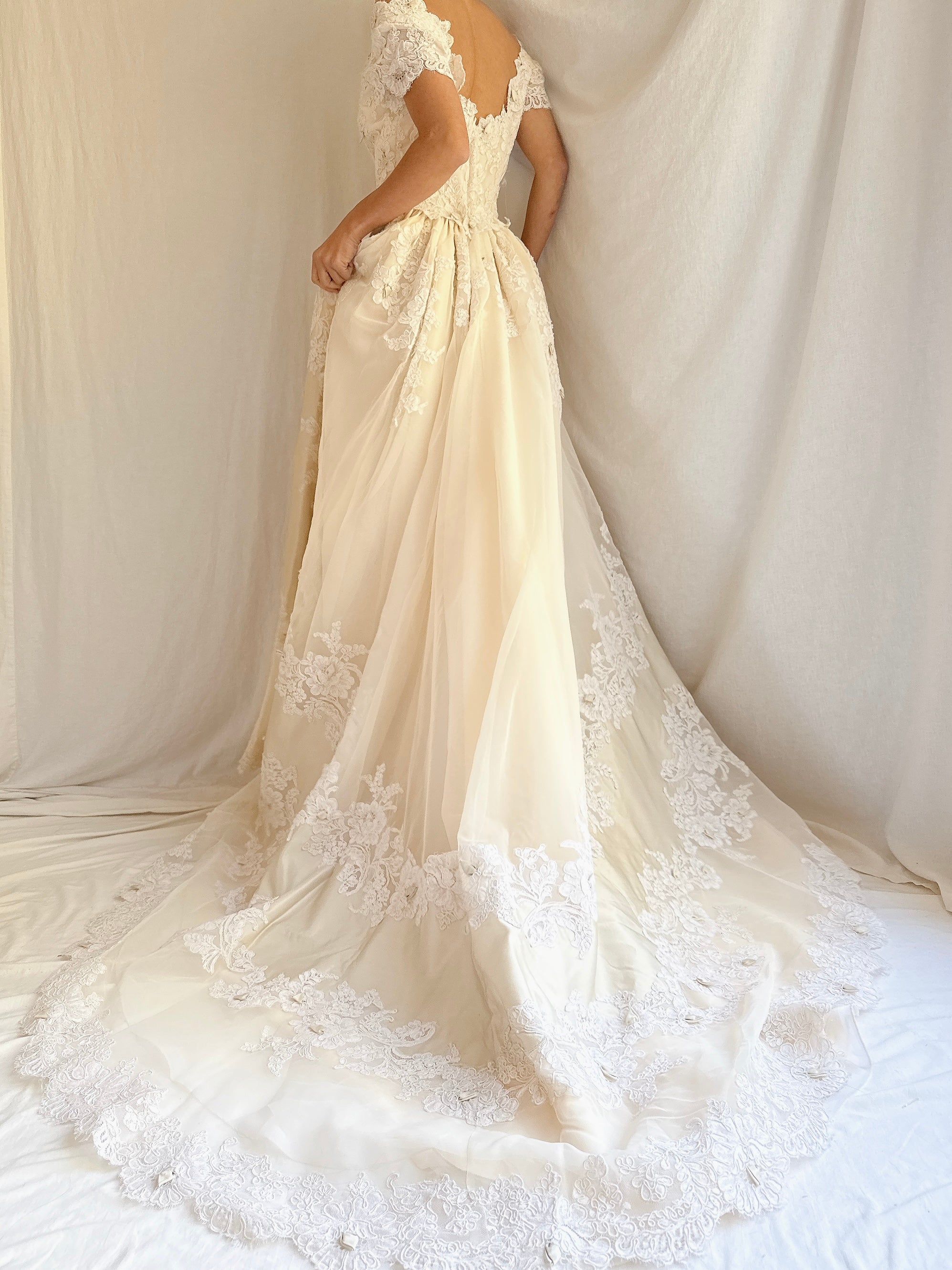 1950s Silk Organza and Lace Gown - XS