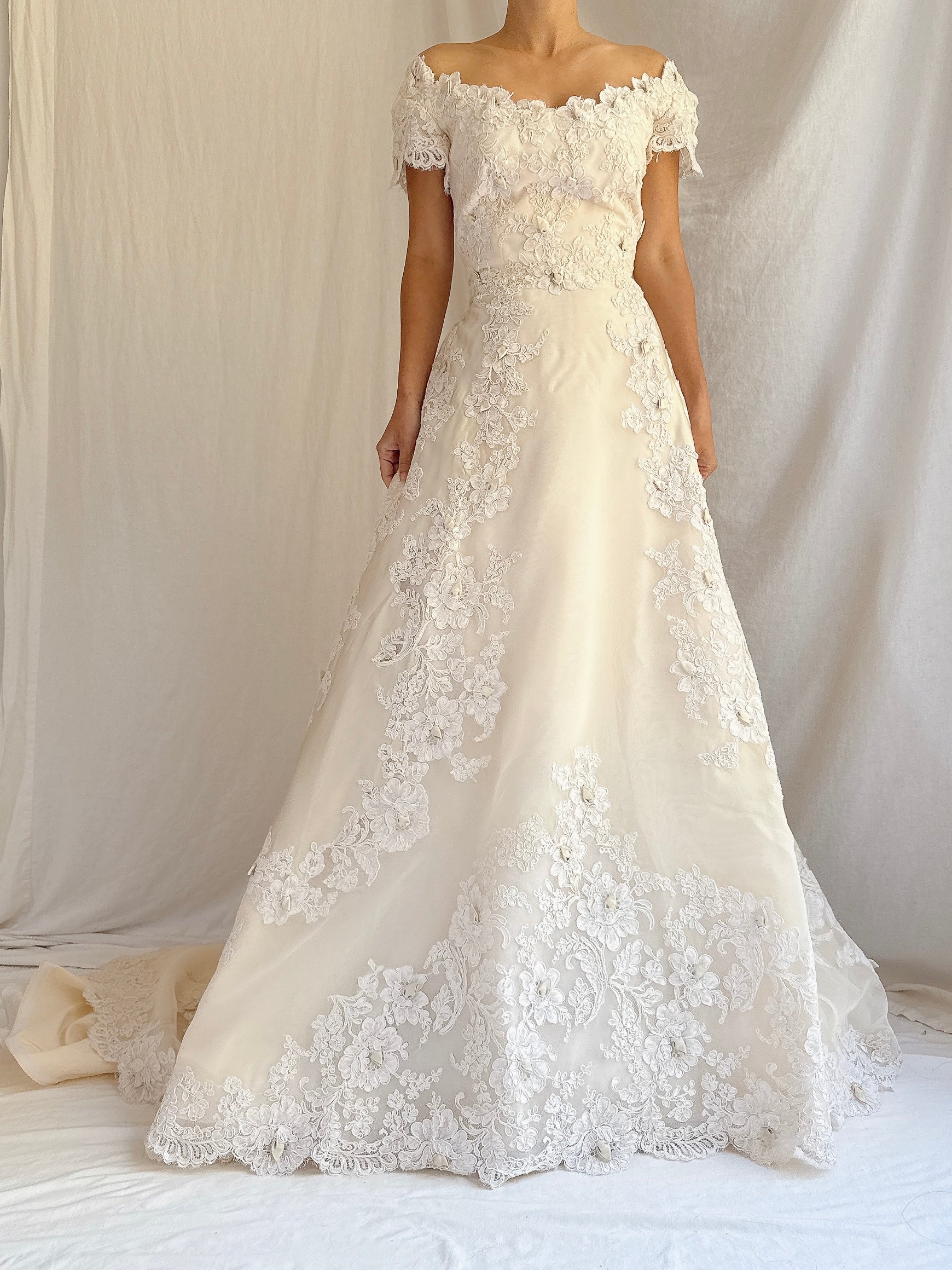 1950s Silk Organza and Lace Gown - XS