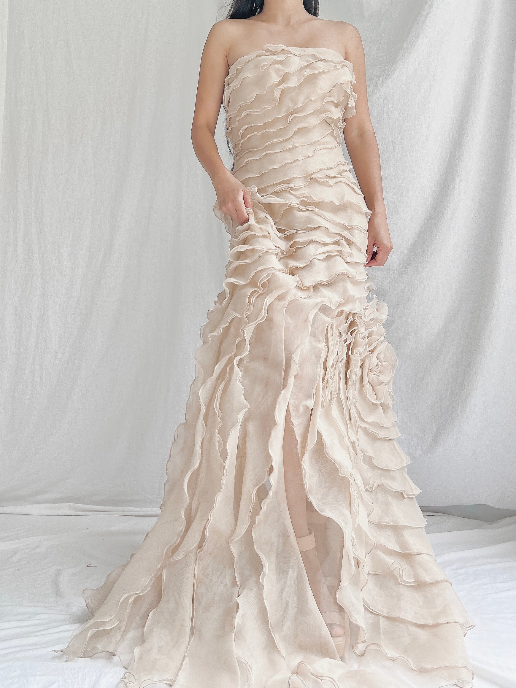 Vintage Sheer Beige Organza Gown - M