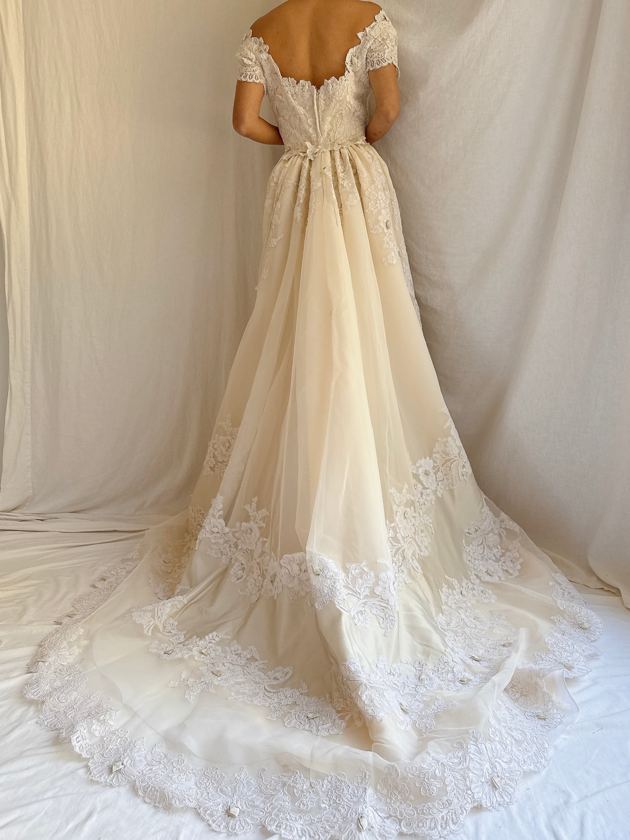 1950s Silk Organza and Lace Gown - XS