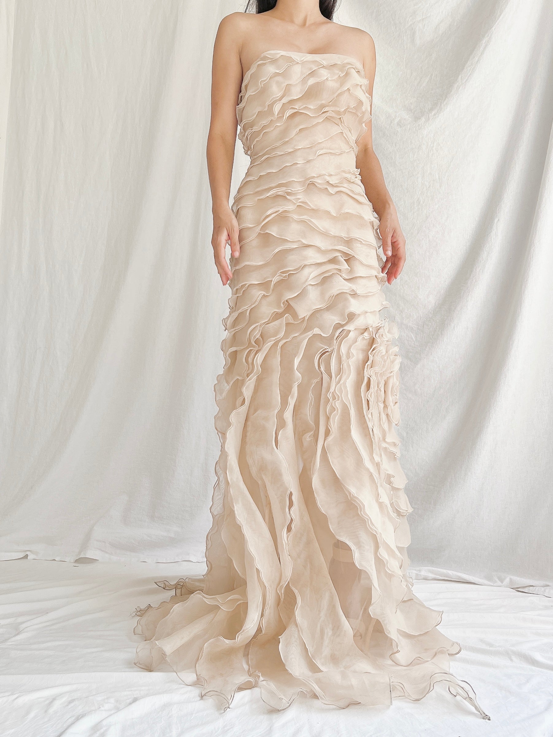 Vintage Sheer Beige Organza Gown - M