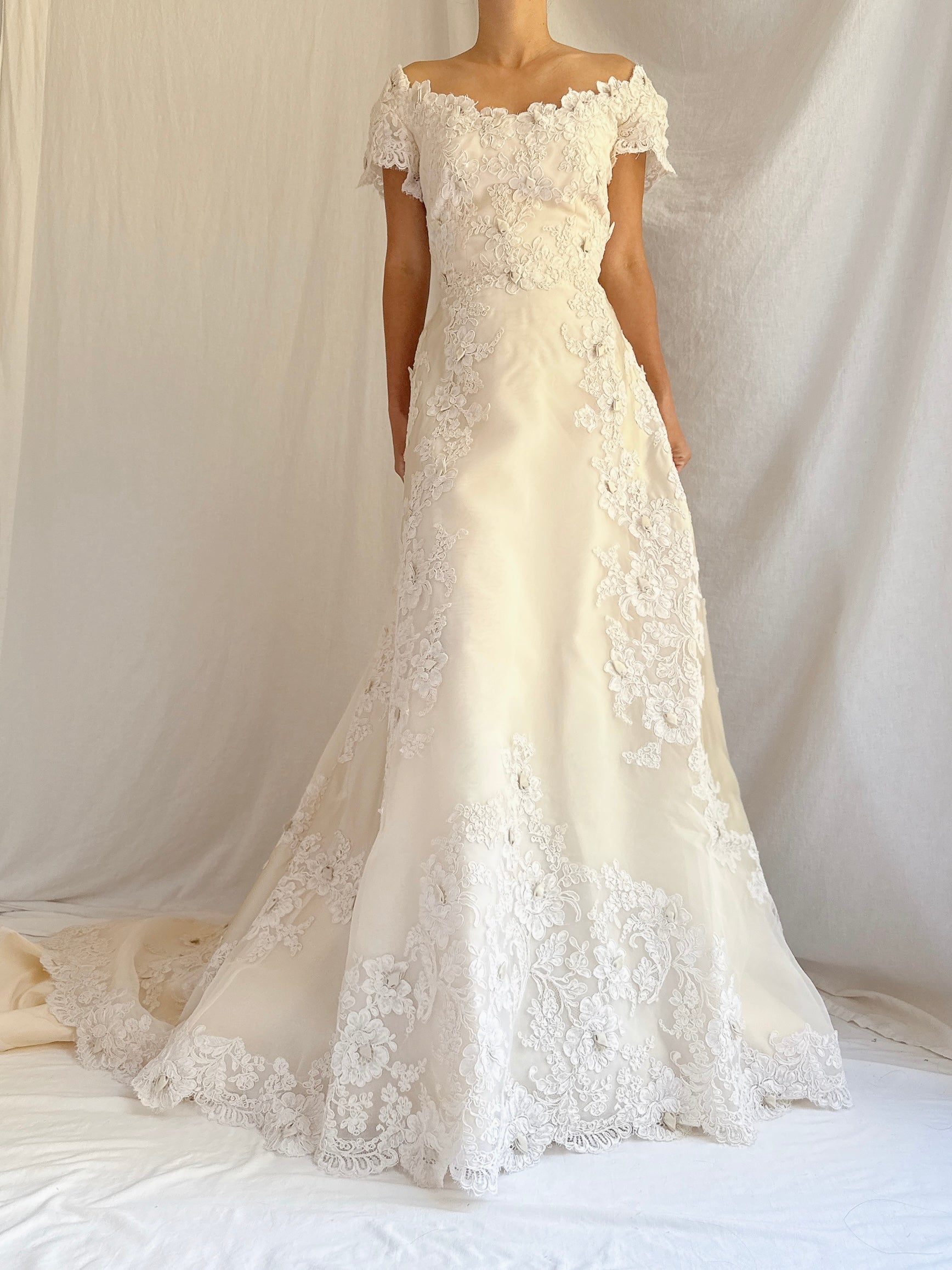 1950s Silk Organza and Lace Gown - XS