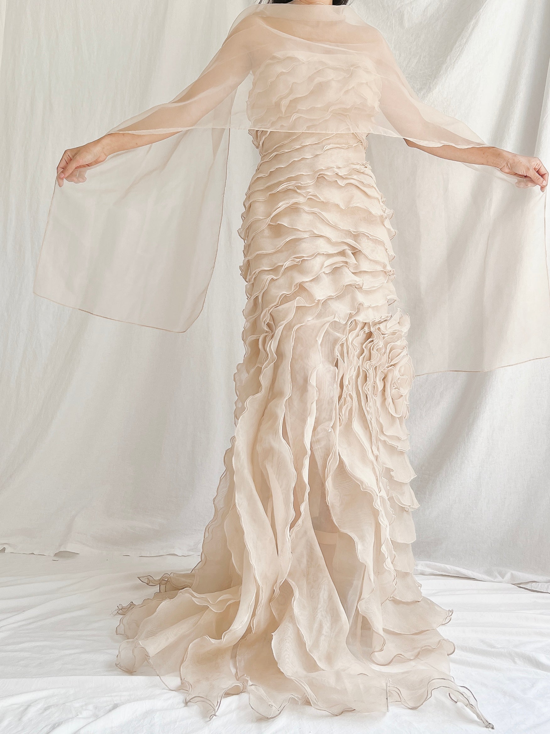 Vintage Sheer Beige Organza Gown - M