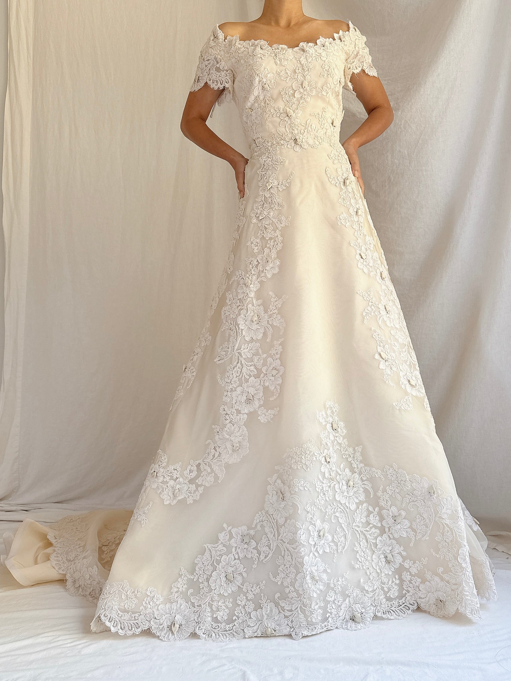 1950s Silk Organza and Lace Gown - XS