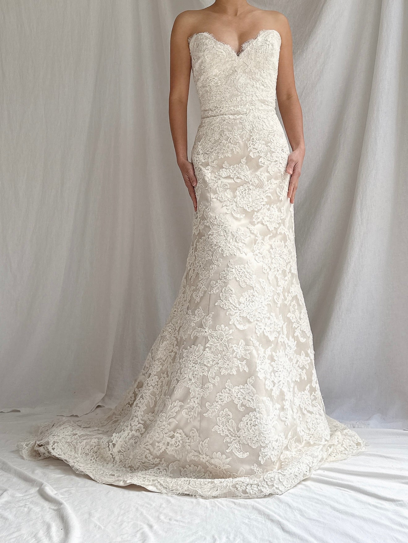 Vintage Jim Hjelm Alencon Lace Gown - S 6