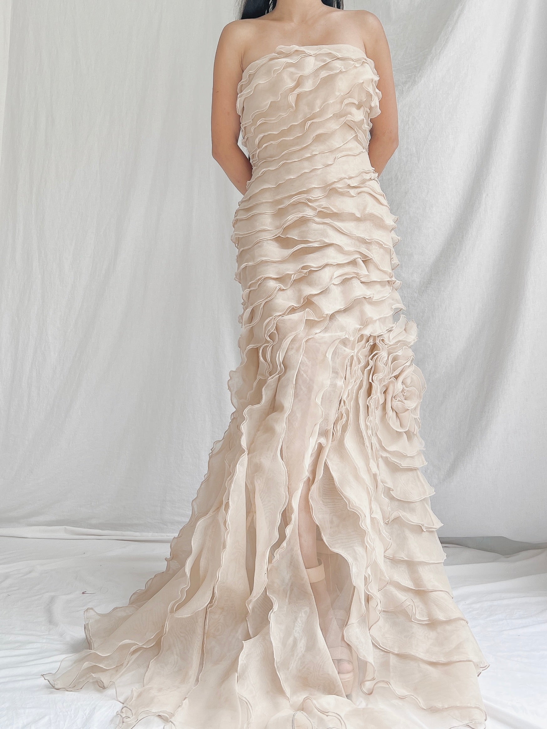 Vintage Sheer Beige Organza Gown - M