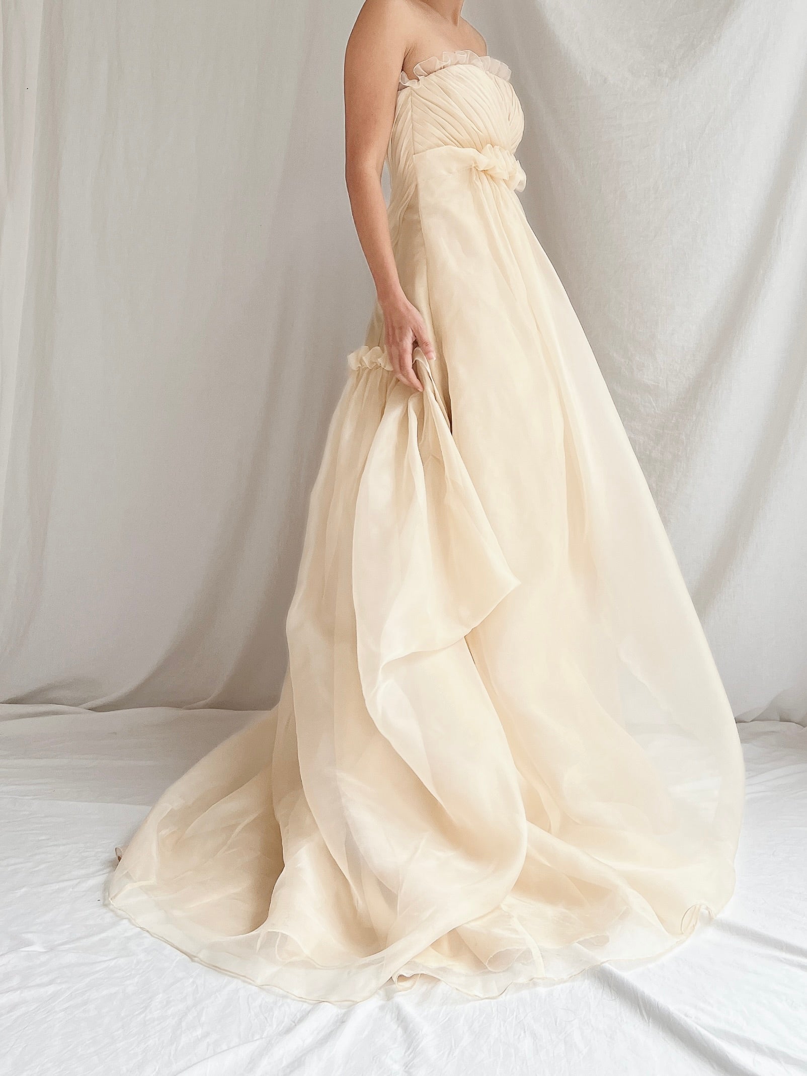 Vintage Silk Organza Gown - XXS/0