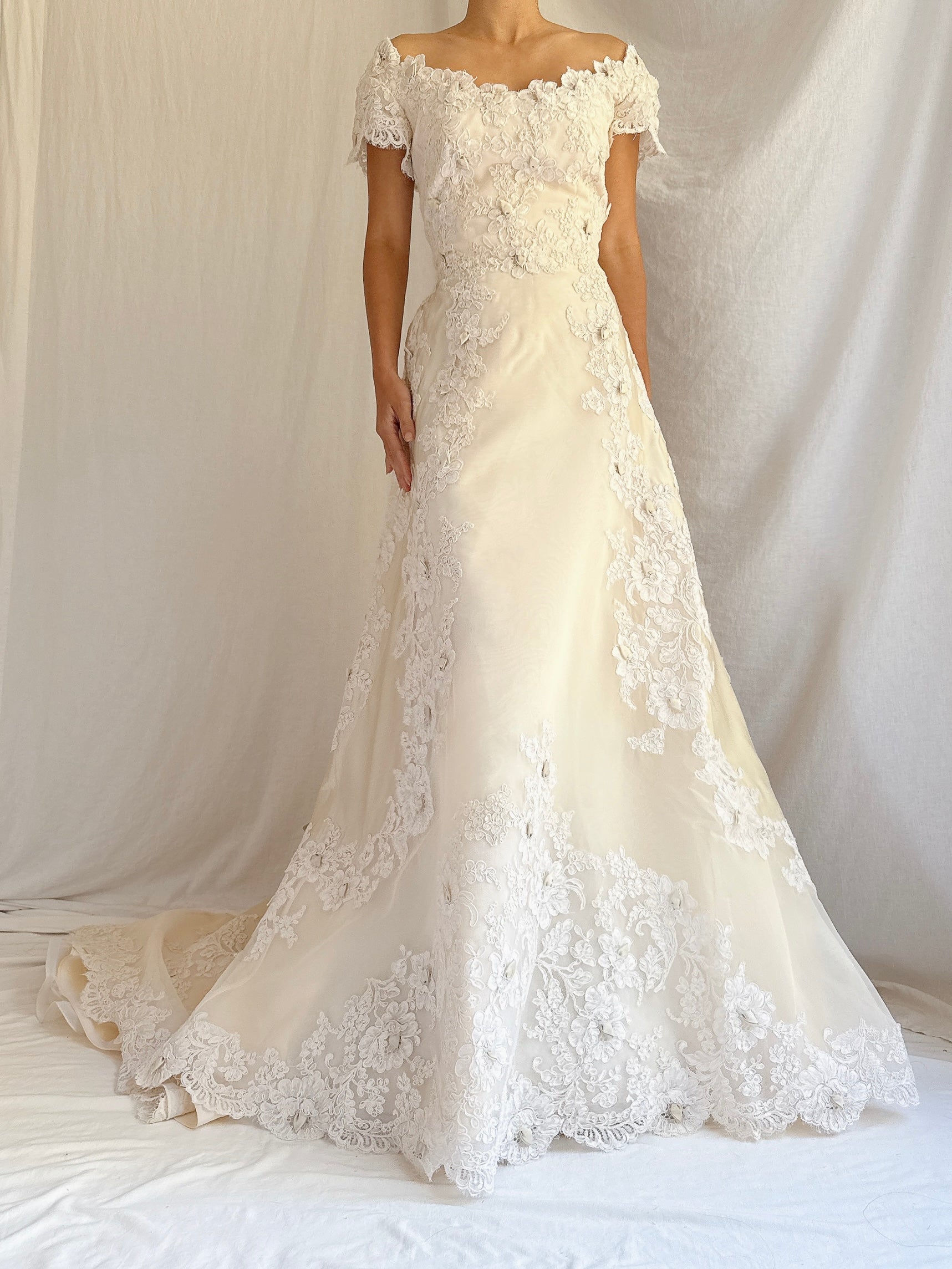 1950s Silk Organza and Lace Gown - XS