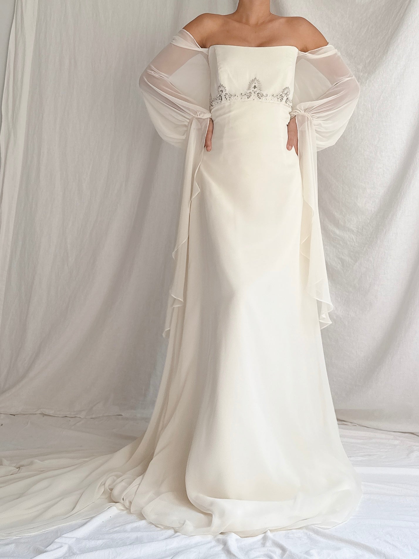 Vintage Jim Hjelm Chiffon Poet Sleeve Gown - S/M 4/6