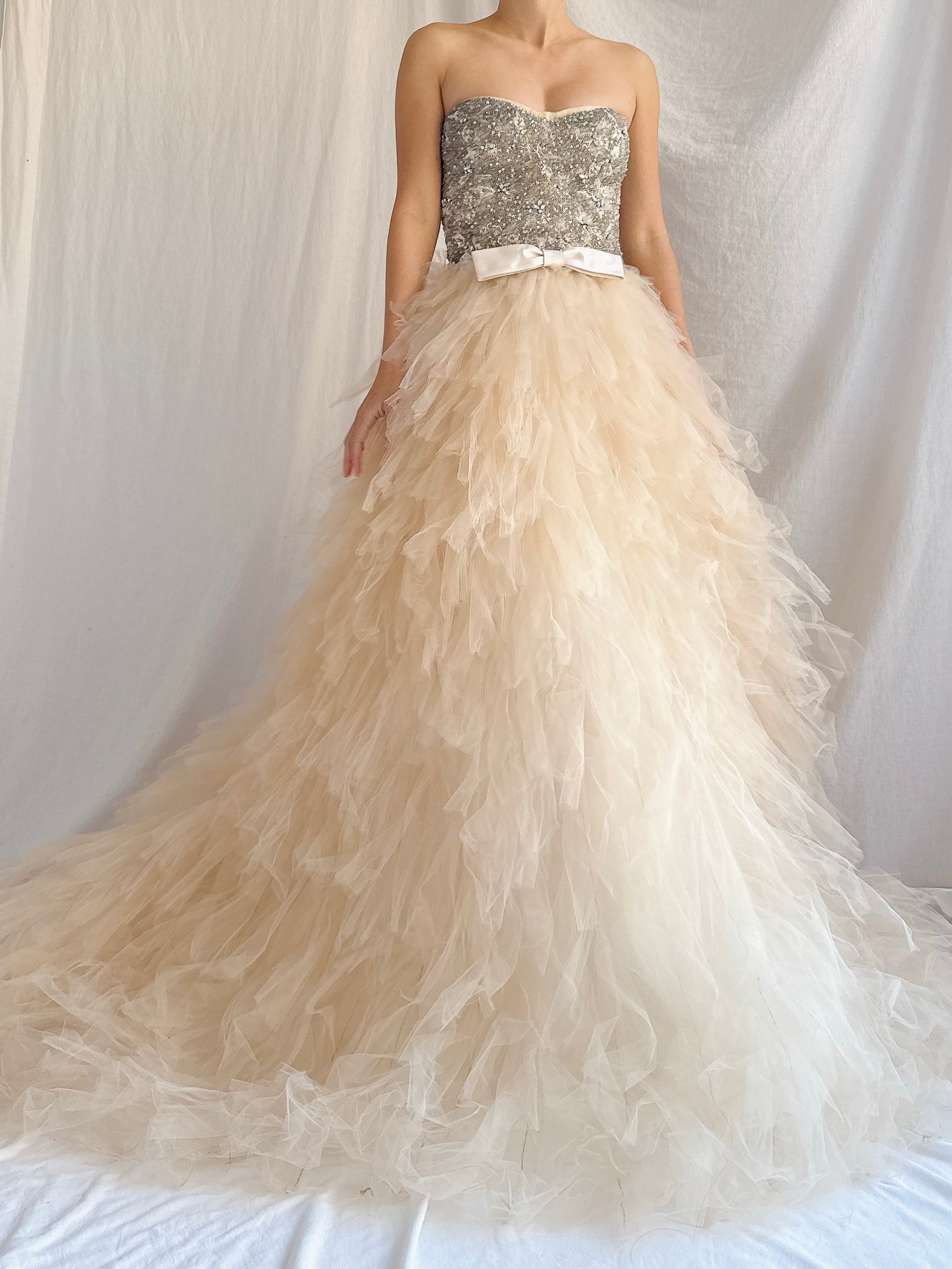 Monique Llhuilier Tulle and Beaded Gown - S/4