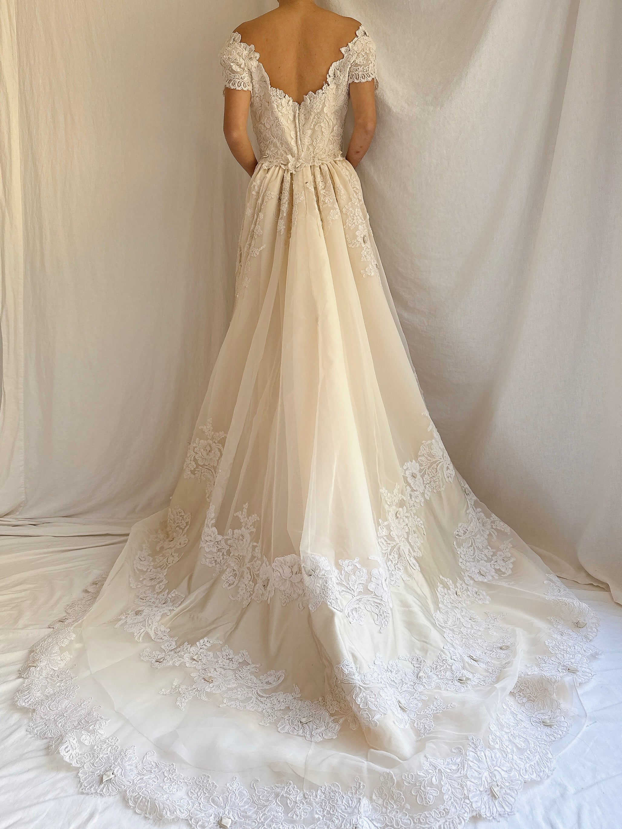 1950s Silk Organza and Lace Gown - XS