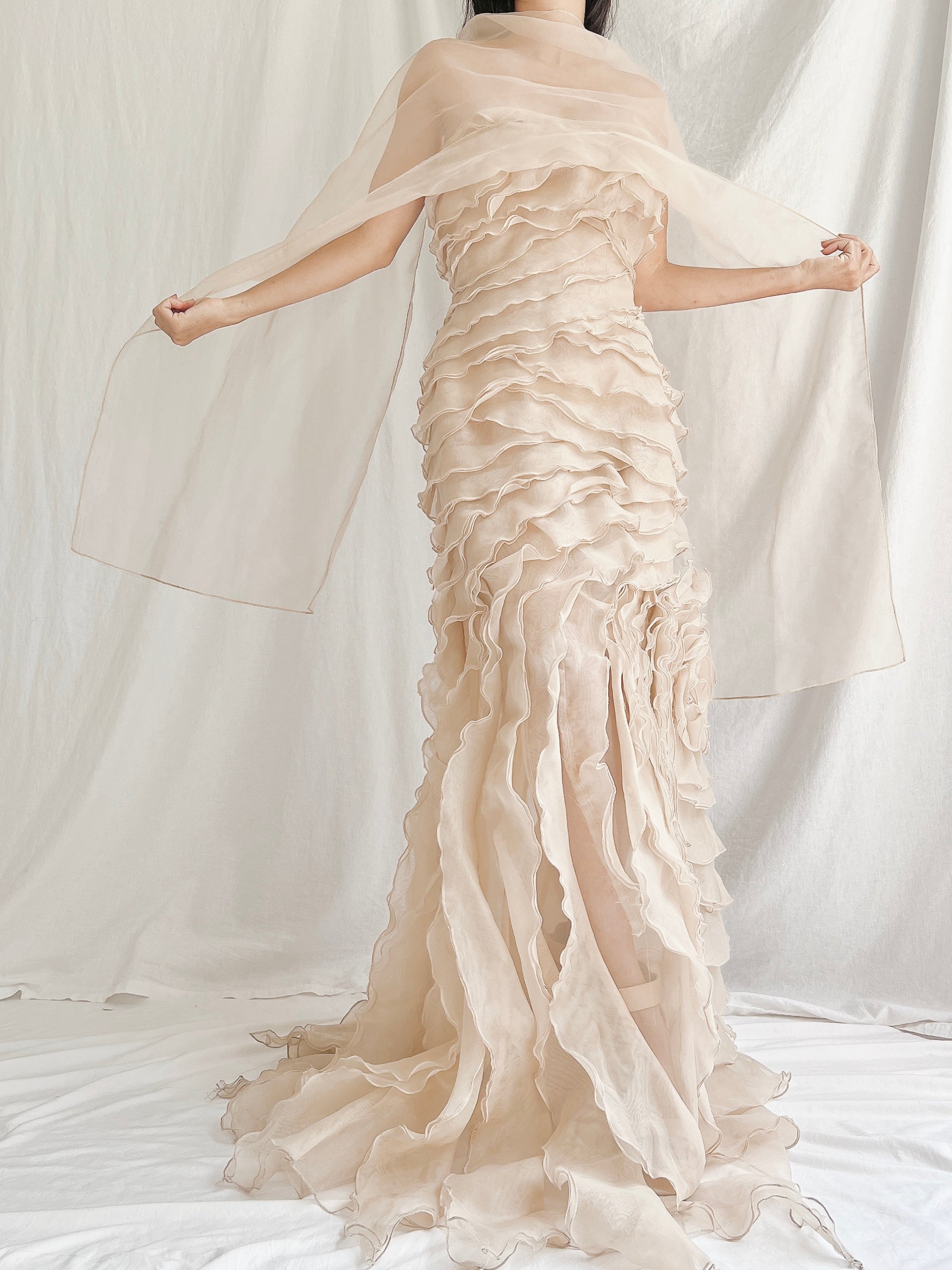 Vintage Sheer Beige Organza Gown - M