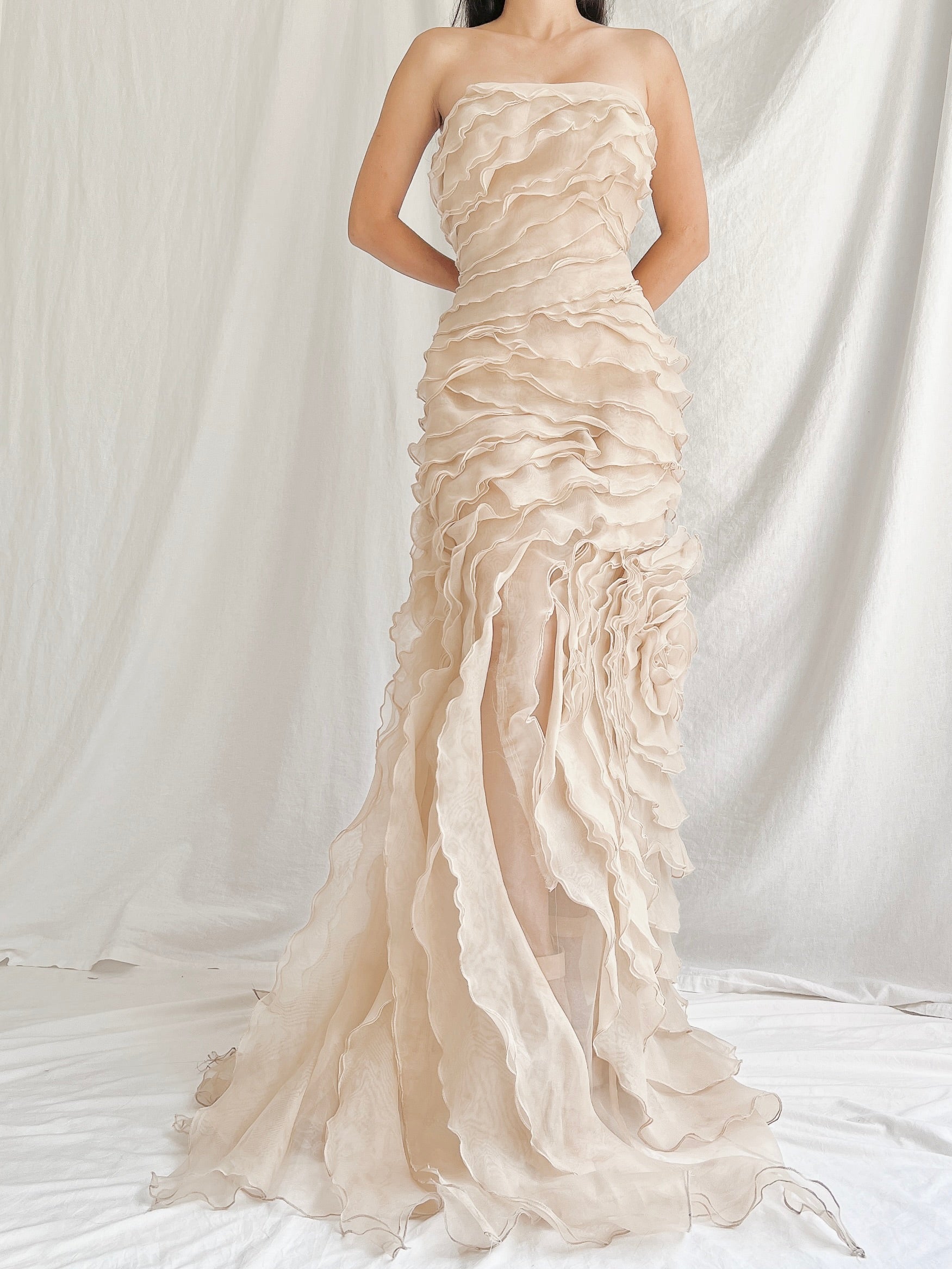 Vintage Sheer Beige Organza Gown - M