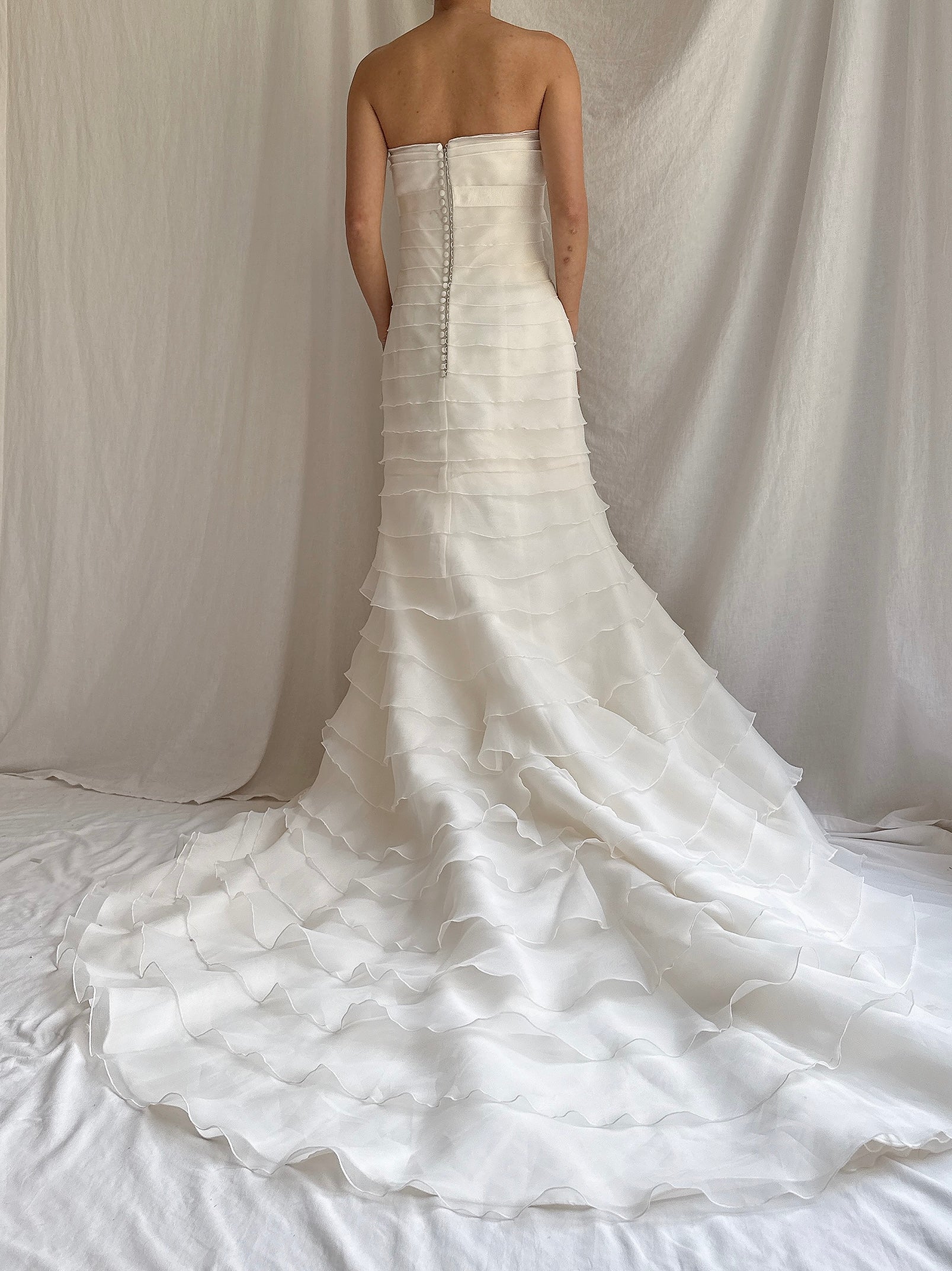 Vintage Ruffle Organza Dress - S/4