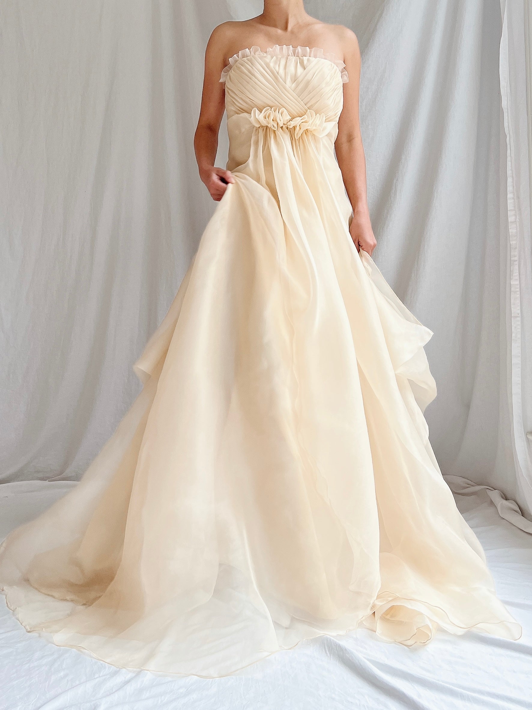 Vintage Silk Organza Gown - XXS/0