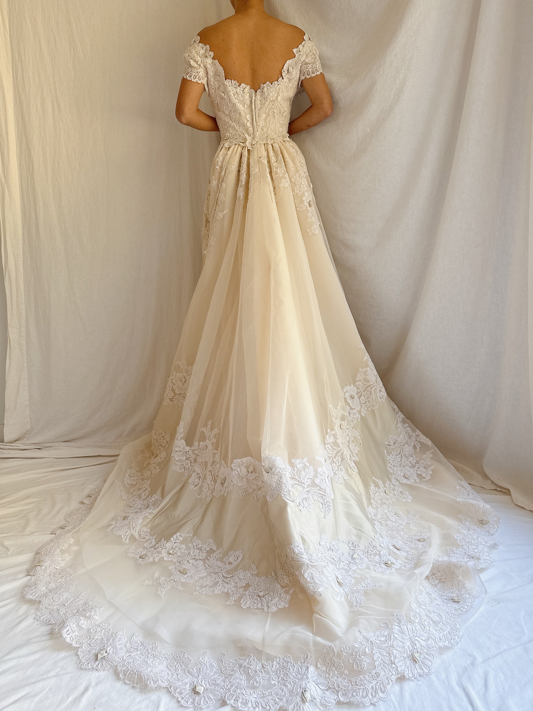 1950s Silk Organza and Lace Gown - XS