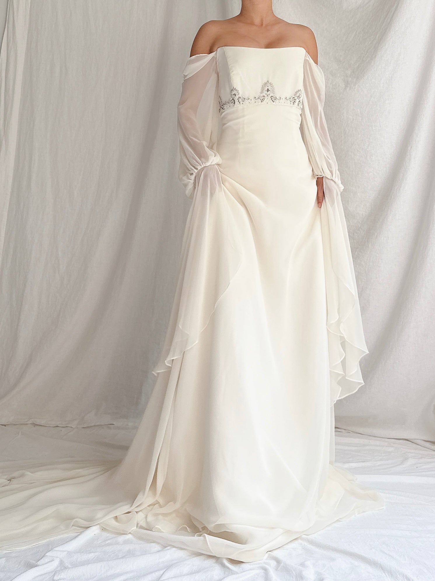 Vintage Jim Hjelm Chiffon Poet Sleeve Gown - S/M 4/6