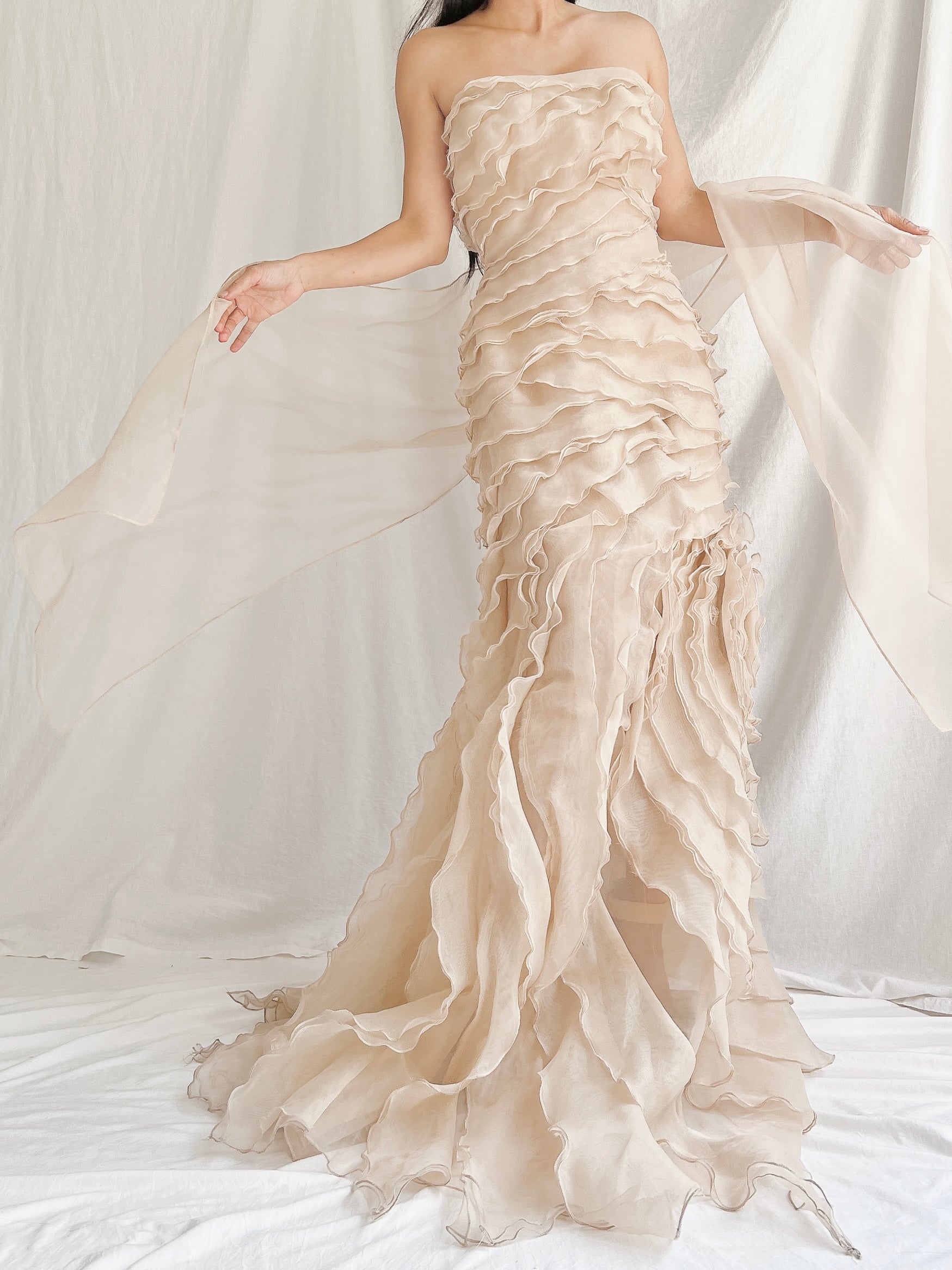 Vintage Sheer Beige Organza Gown - M