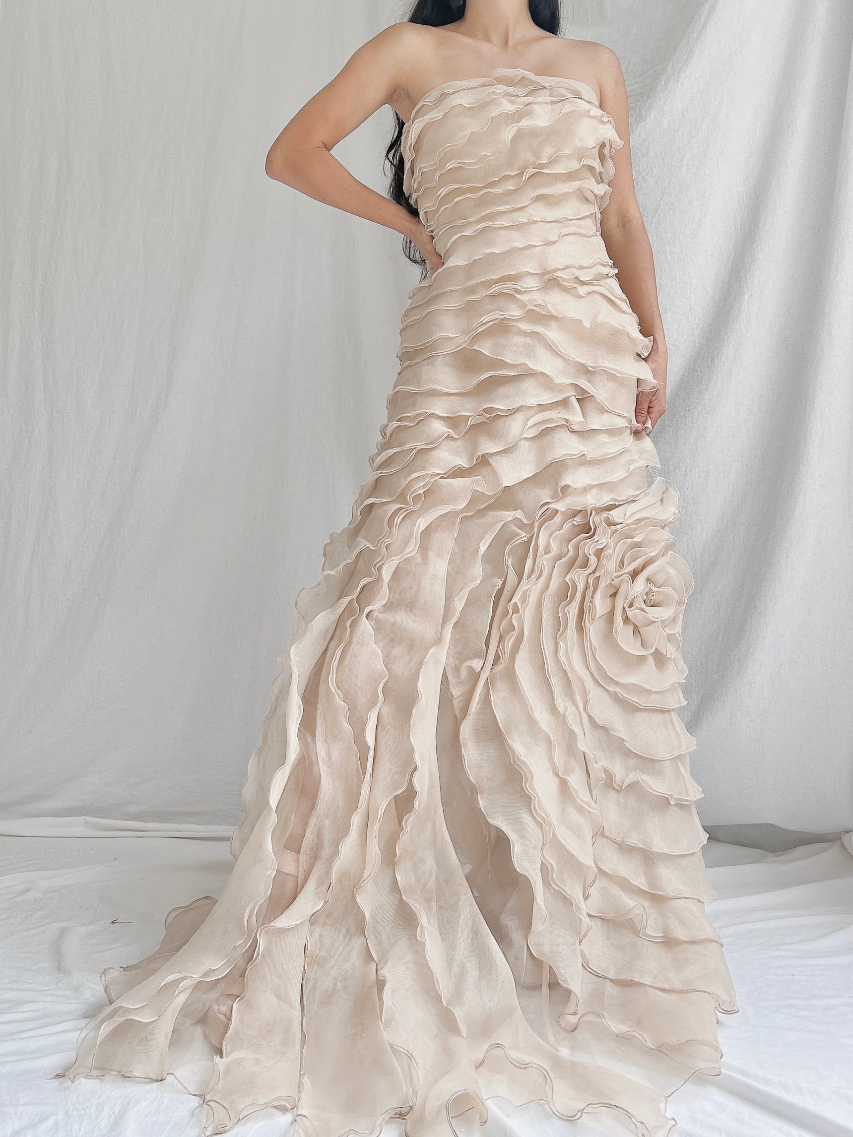 Vintage Sheer Beige Organza Gown - M