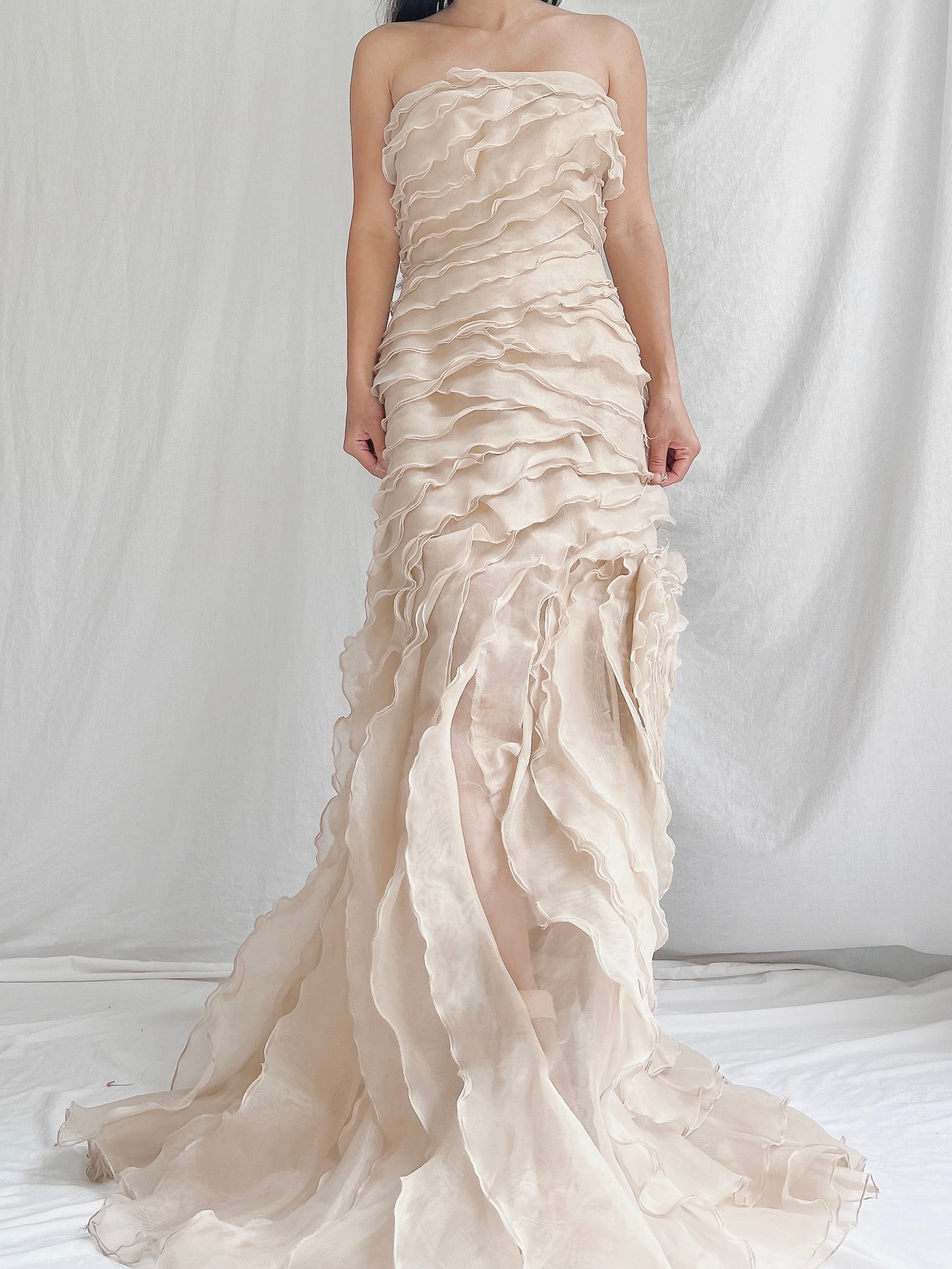 Vintage Sheer Beige Organza Gown - M