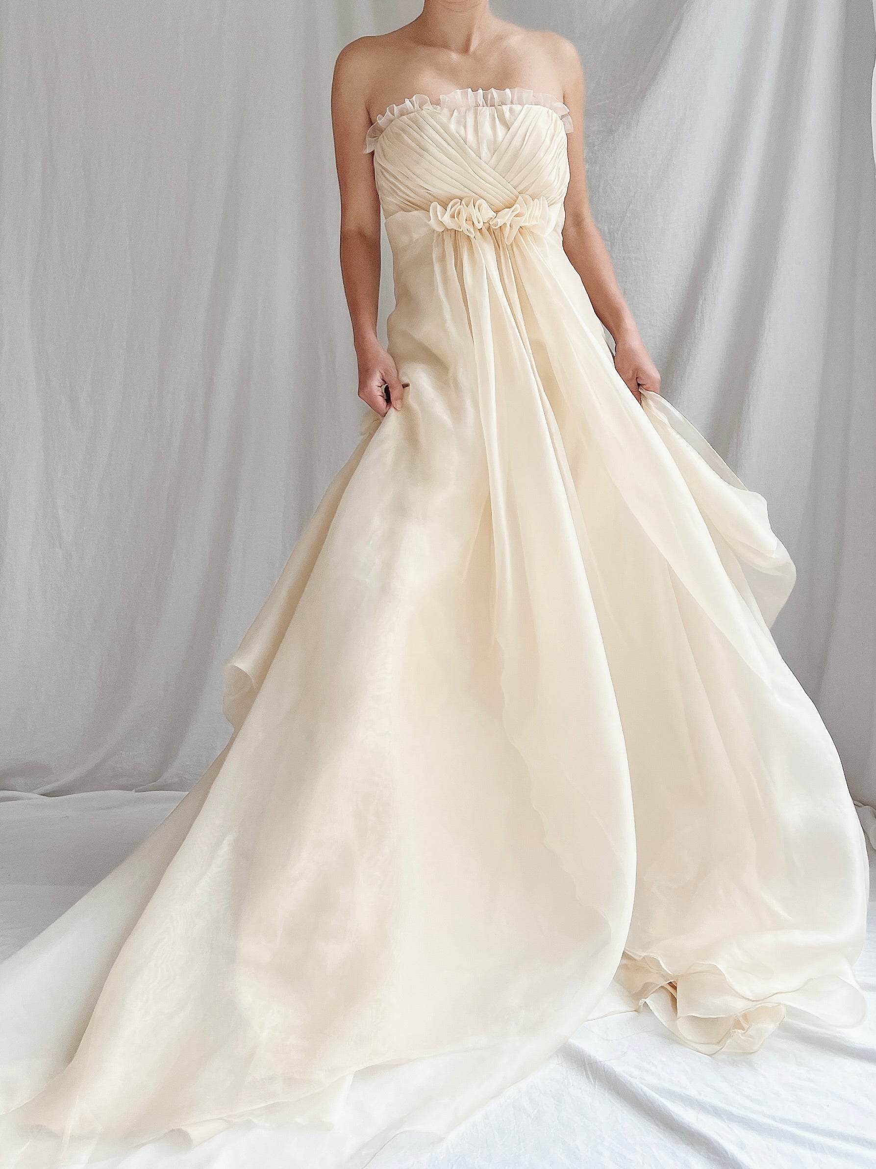 Vintage Silk Organza Gown - XXS/0