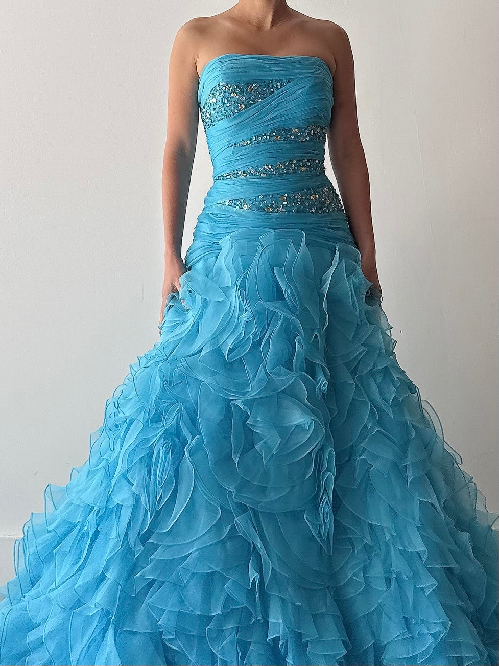 Vintage Organza Sequin Dress - M