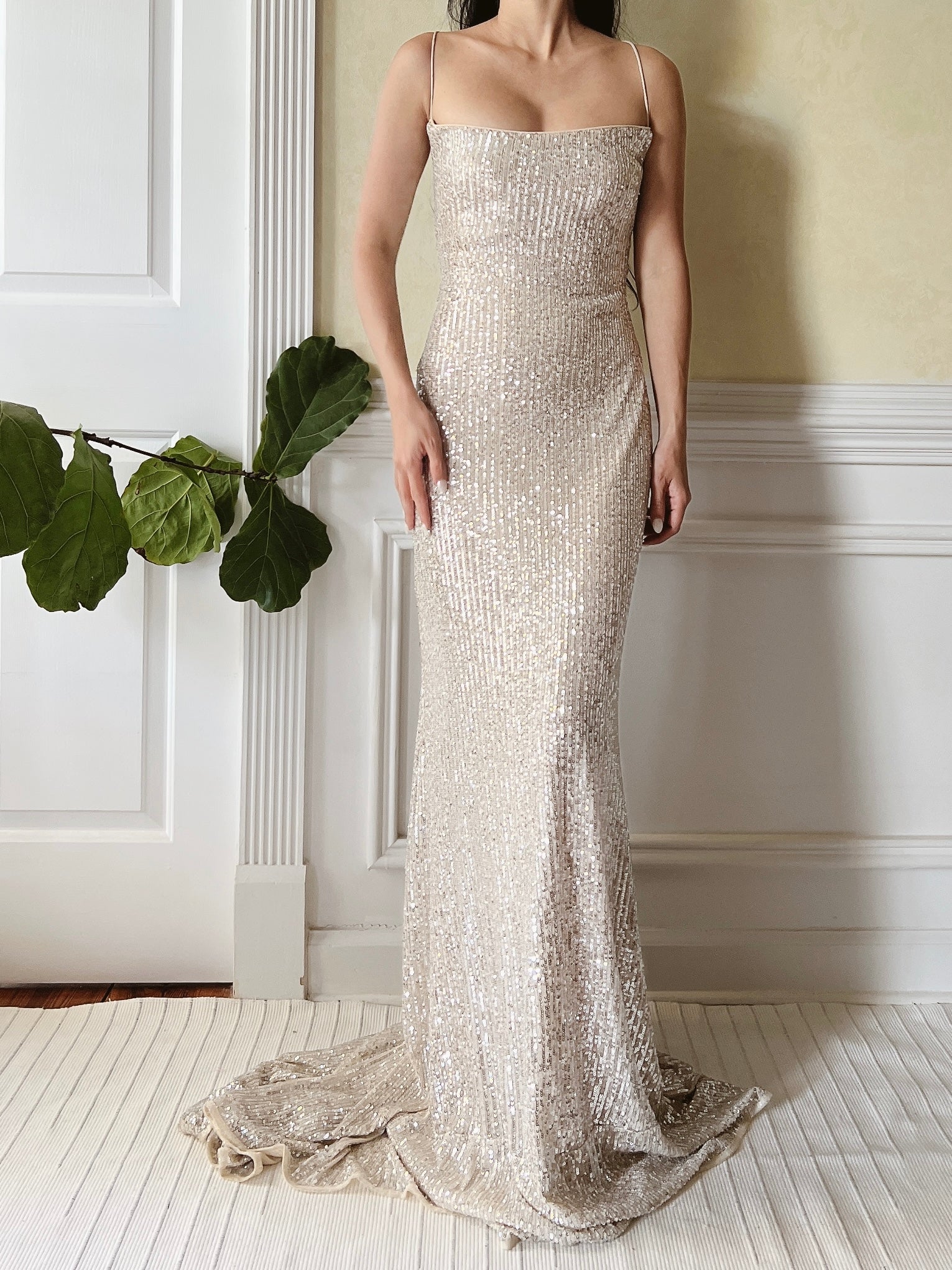 Nude Trained Sequins Gown - S/4/6